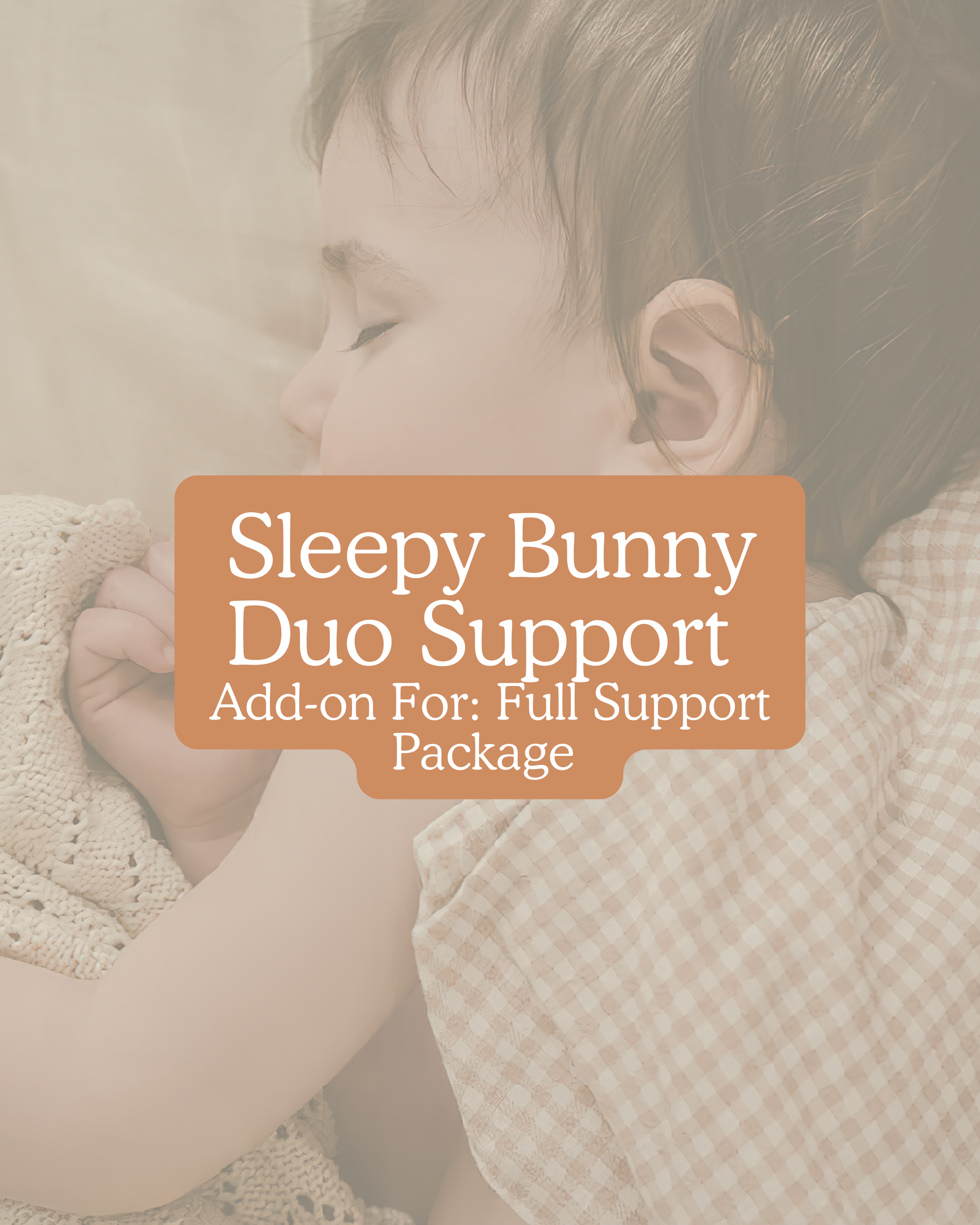 Bunny Nest Set-Up.png