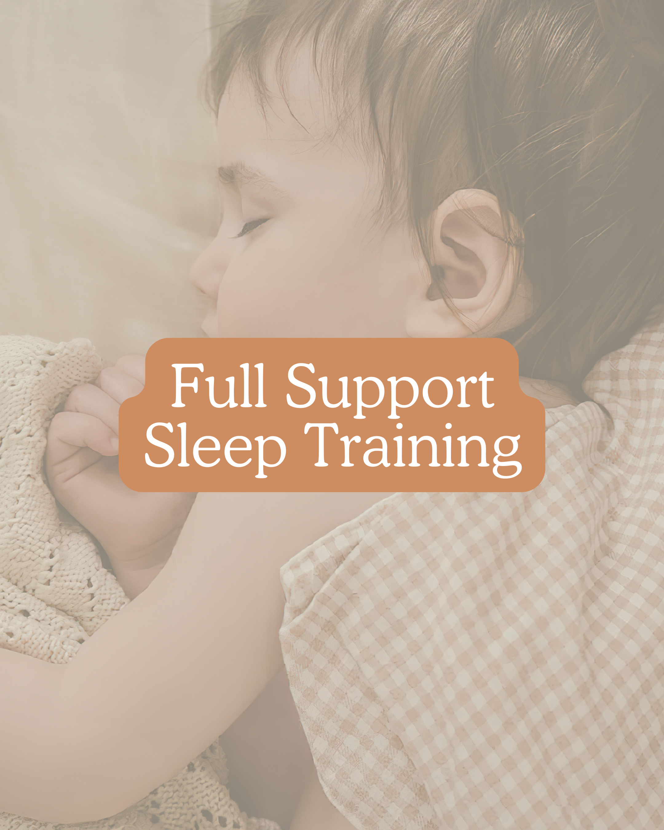 Moonlight Bunny Sleep Plan: 4-24 months