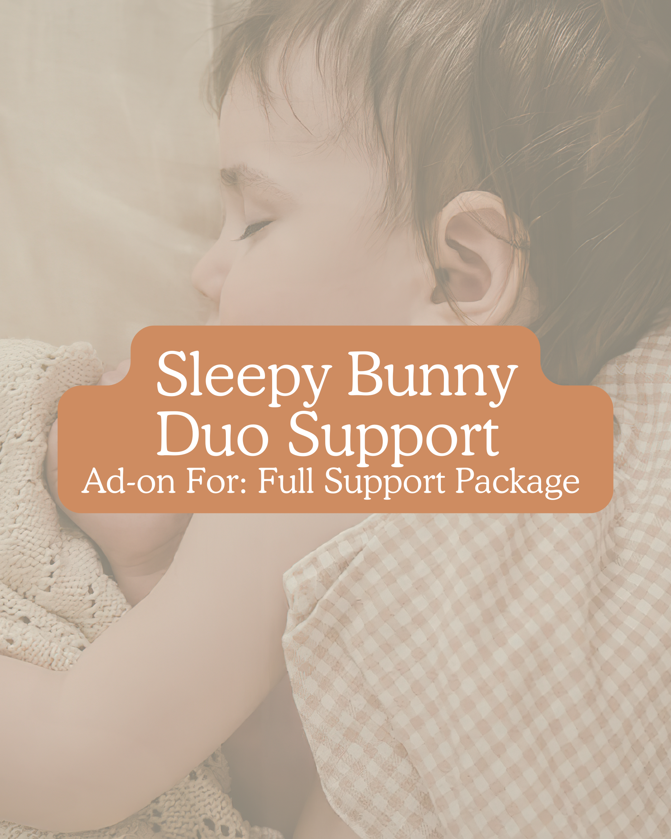 Bunny Nest Set-Up (2).png