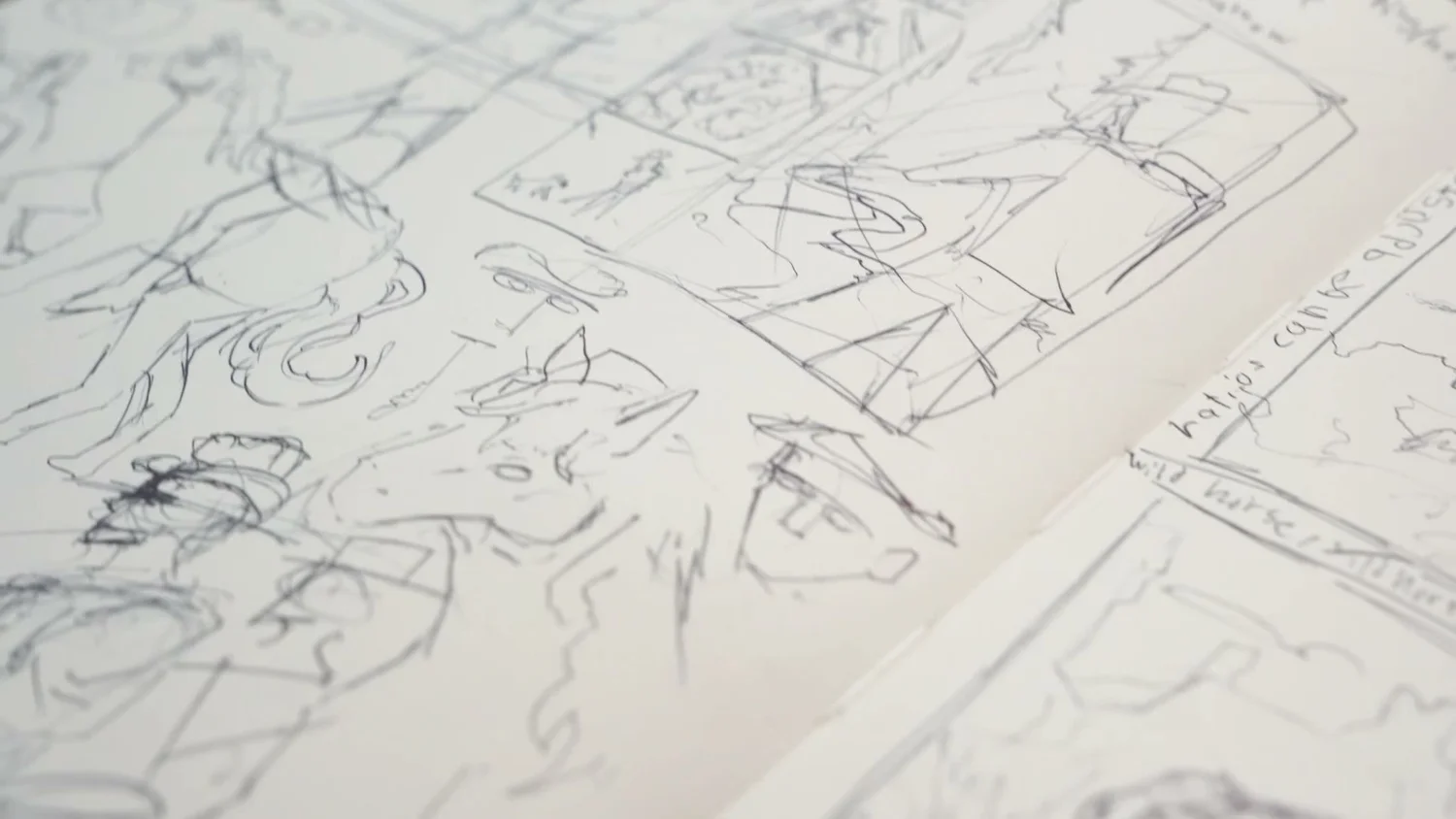 Close-up pencil figure studies
