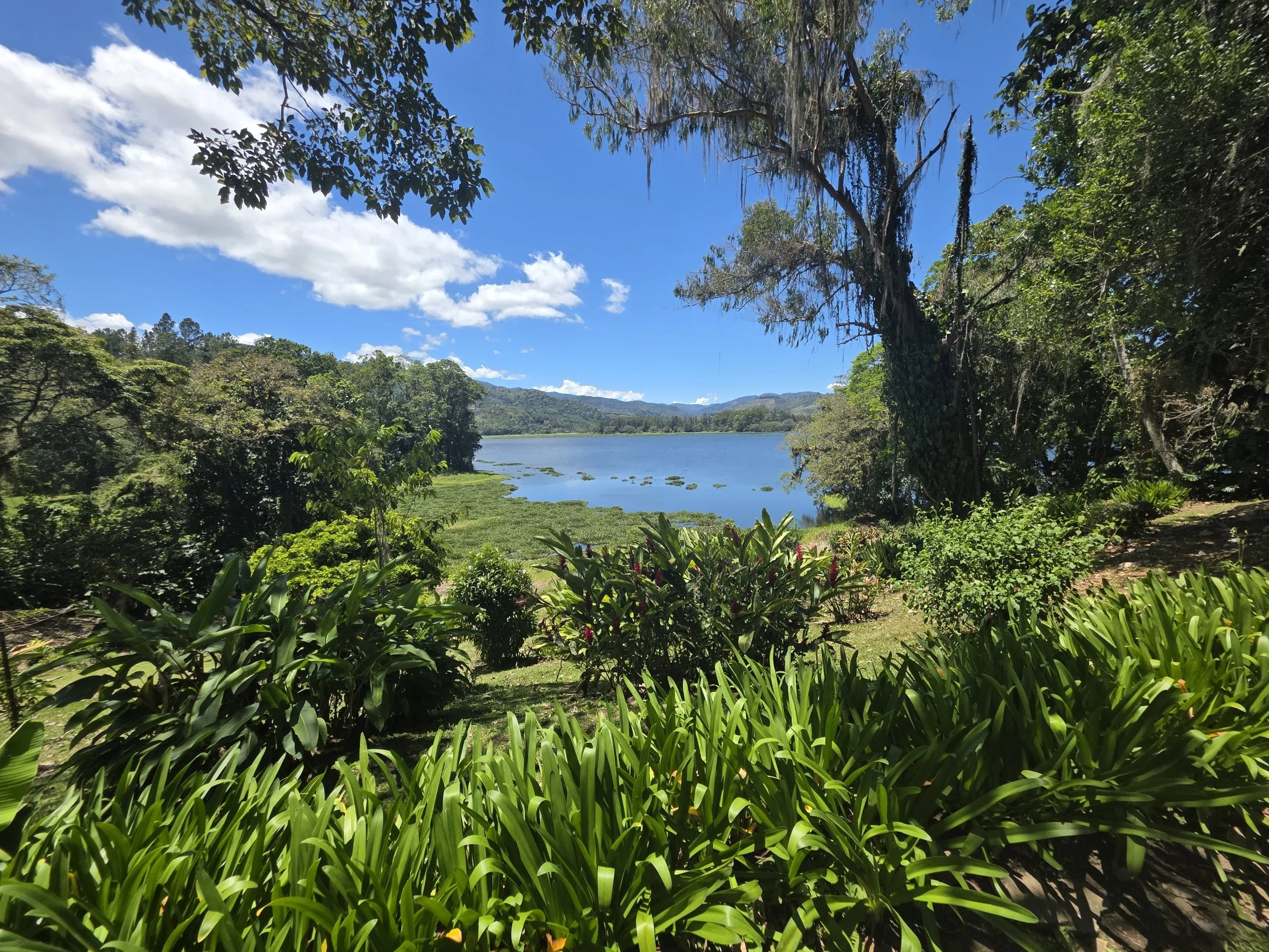 Cachí: volver también es soltar