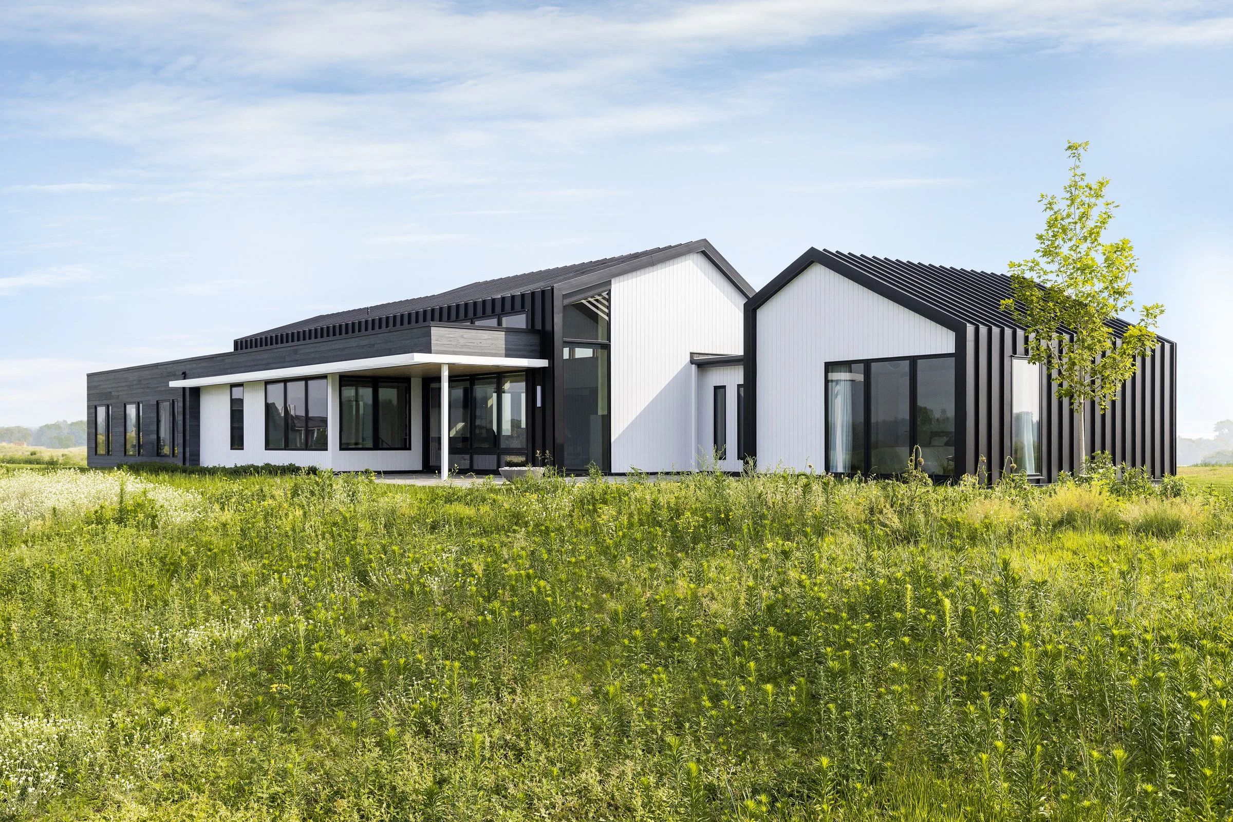 Modern black and white house with large windows, set in a green field with a small tree, under a partly cloudy sky.