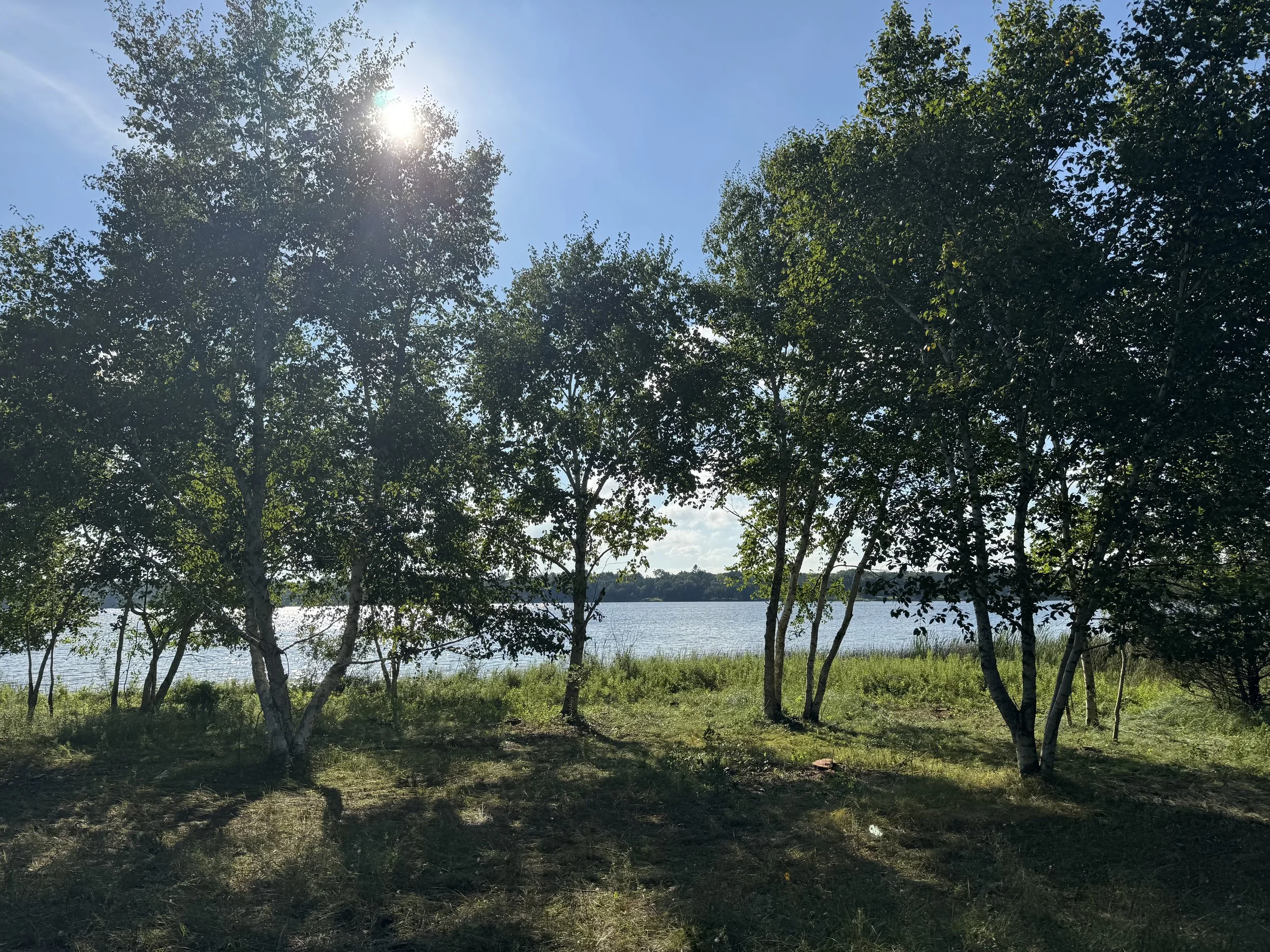 A lakeside scene with trees in the foreground and water in the background, under a bright blue sky with the sun shining through the tree leaves.