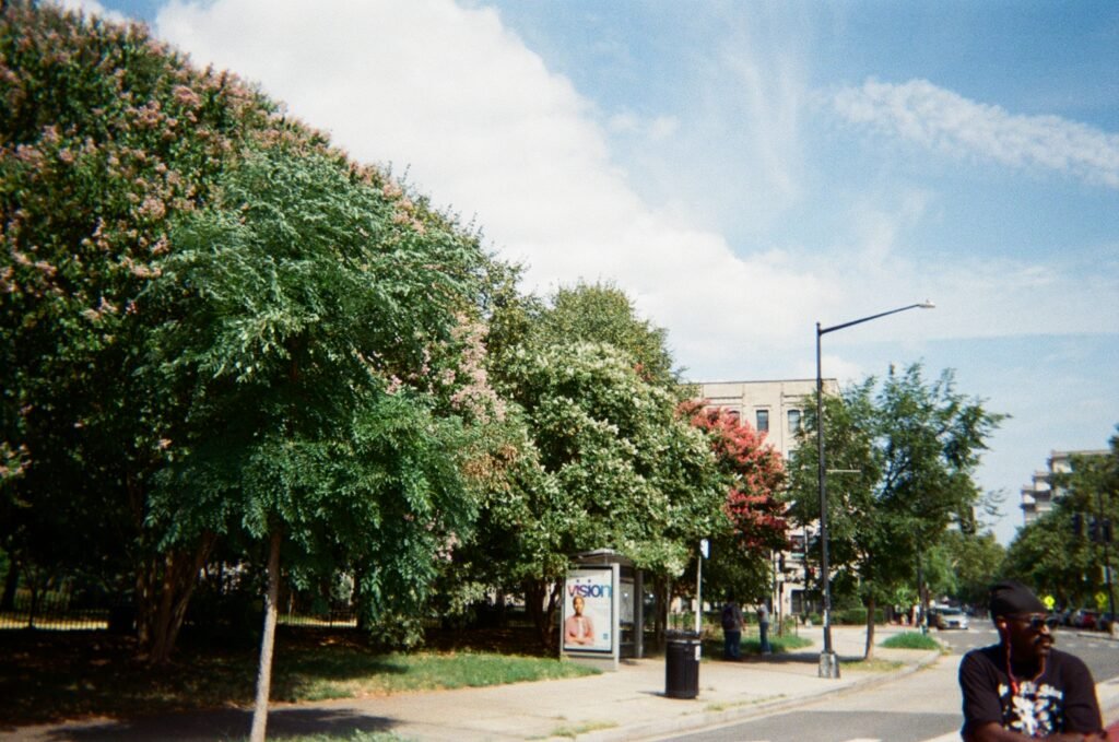 000094130027-1024x679.jpg