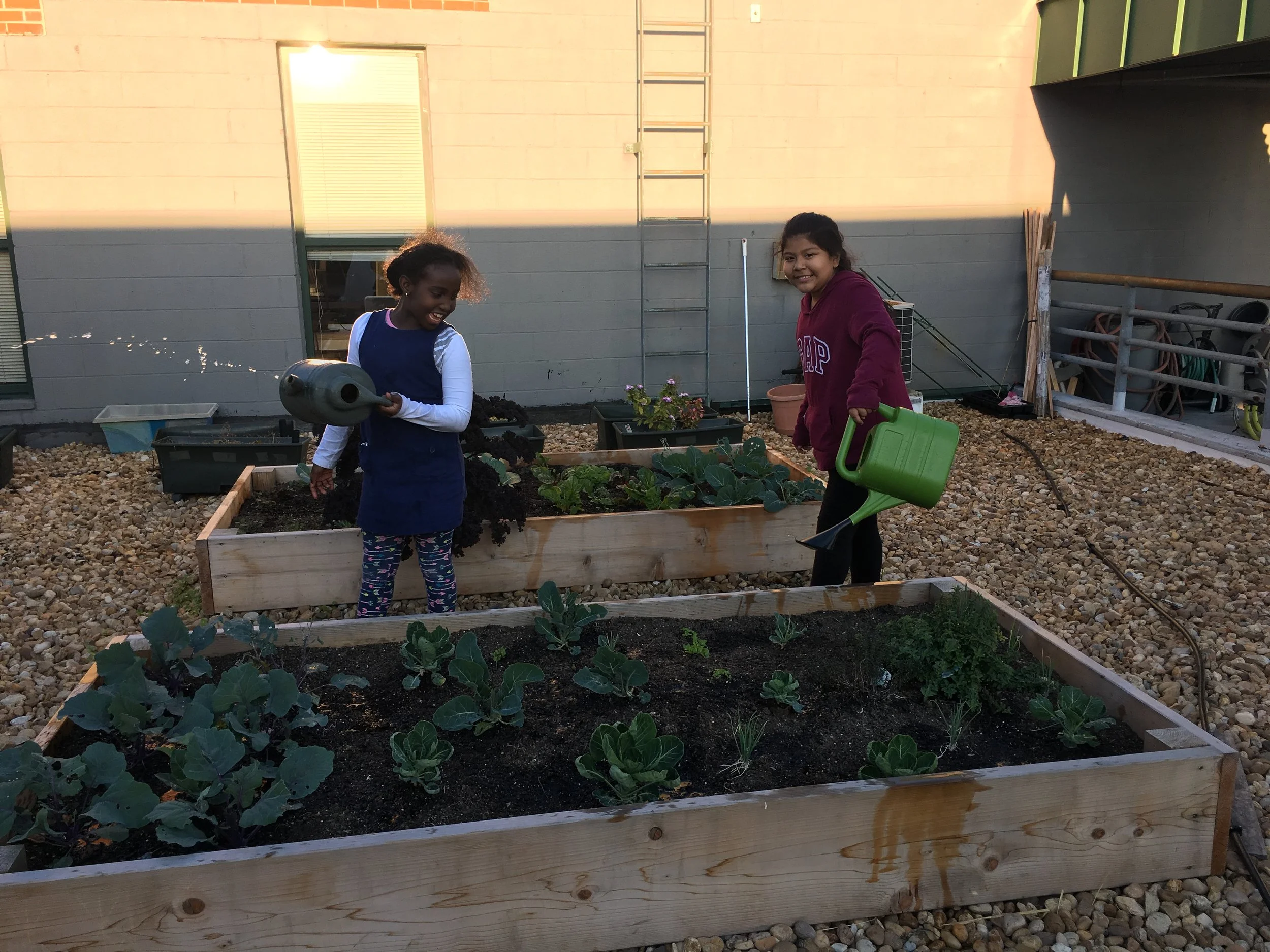 Capital Area Food Bank Awards Partner Garden Grant to Jubilee Youth Services