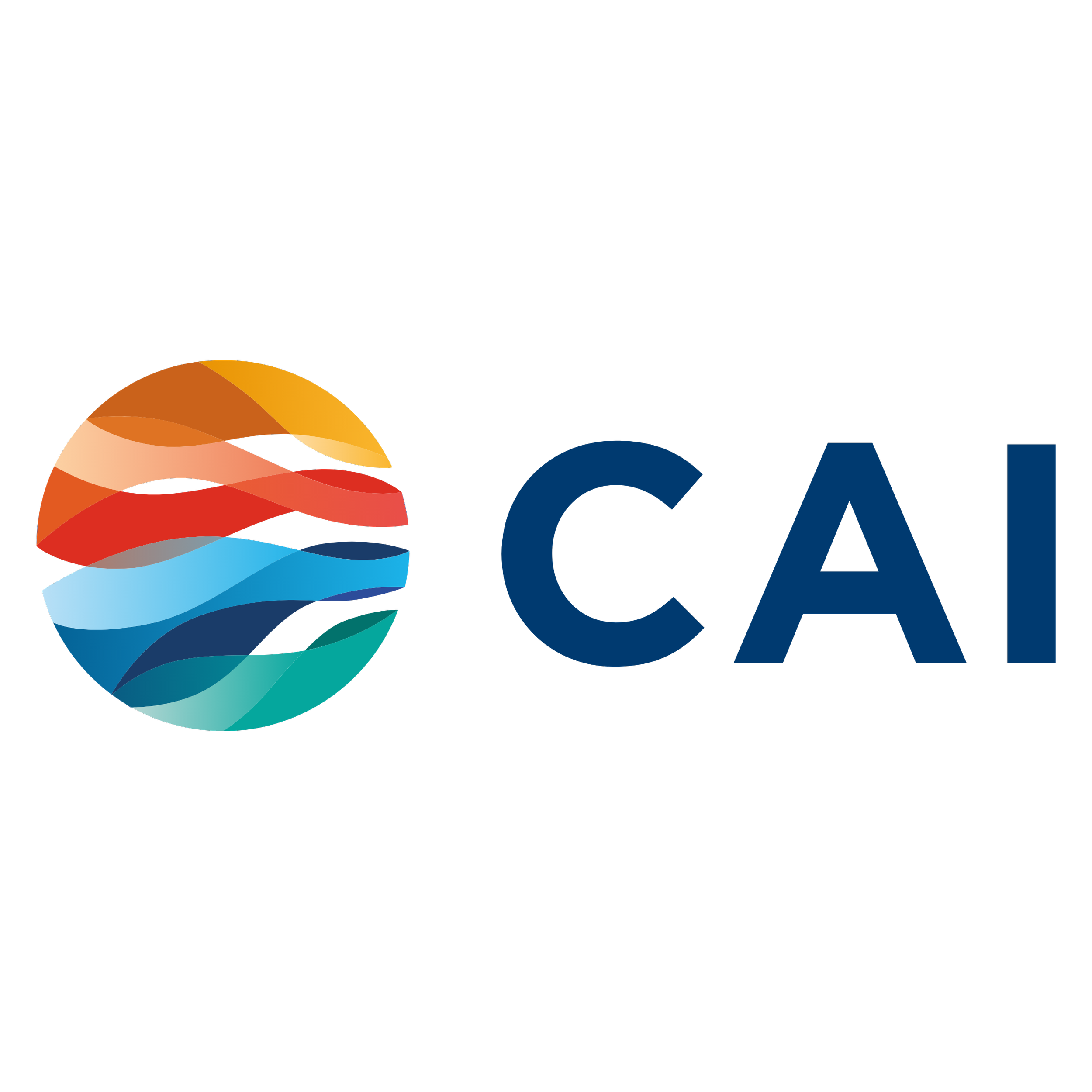 CAI (SUCCEED).png