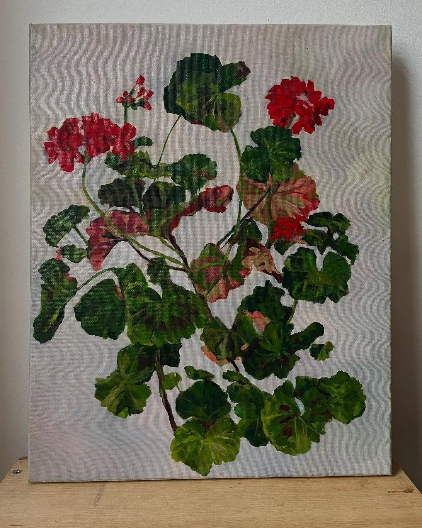 Two Geranium paintings for sale, &pound;500 each, both measuring 40.2 x 50.2 cm oil on canvas  #geraniumpainting 
#geraniums 
#pelagonium