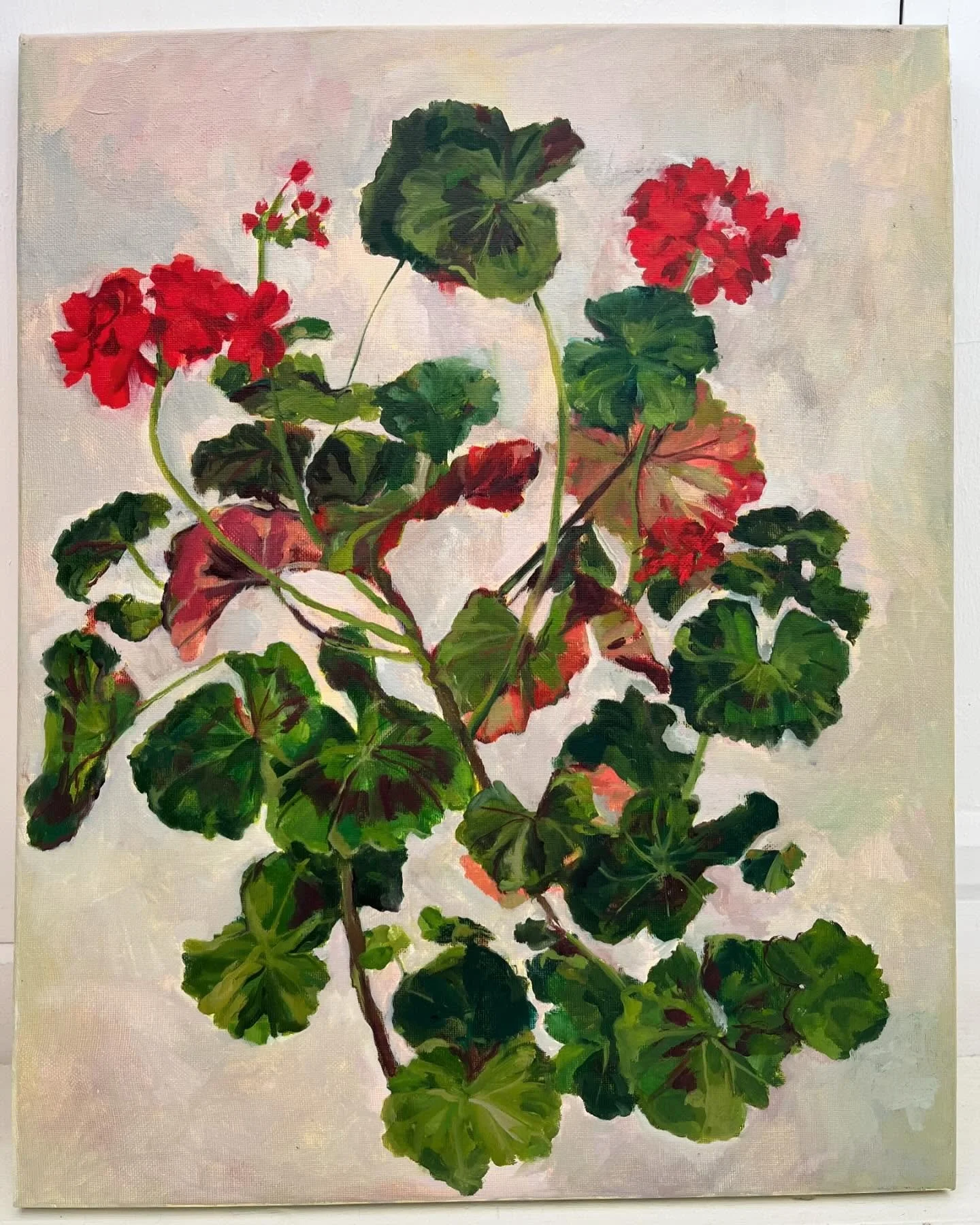 Geranium :1 &lsquo;24  41x 51cm  I love them so much, longing for spring/summer and more flowers  #oiloncanvas #geranium #newpainting #geraniumpainting