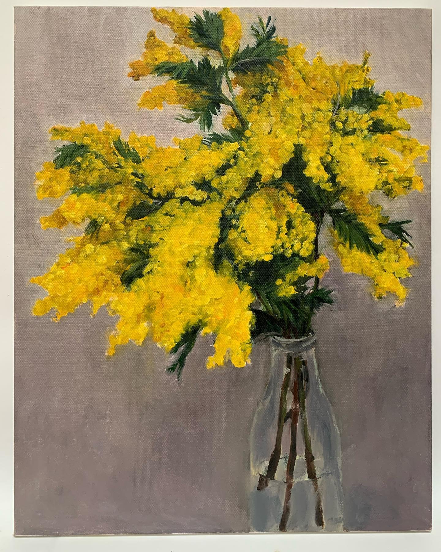 Mimosa on stormy grey  oil painting  40.5cm x 50.5cm #bringthesunshine #oiloncanvas #mimosapainting #yellow #yellowflowers #brightenupacorner