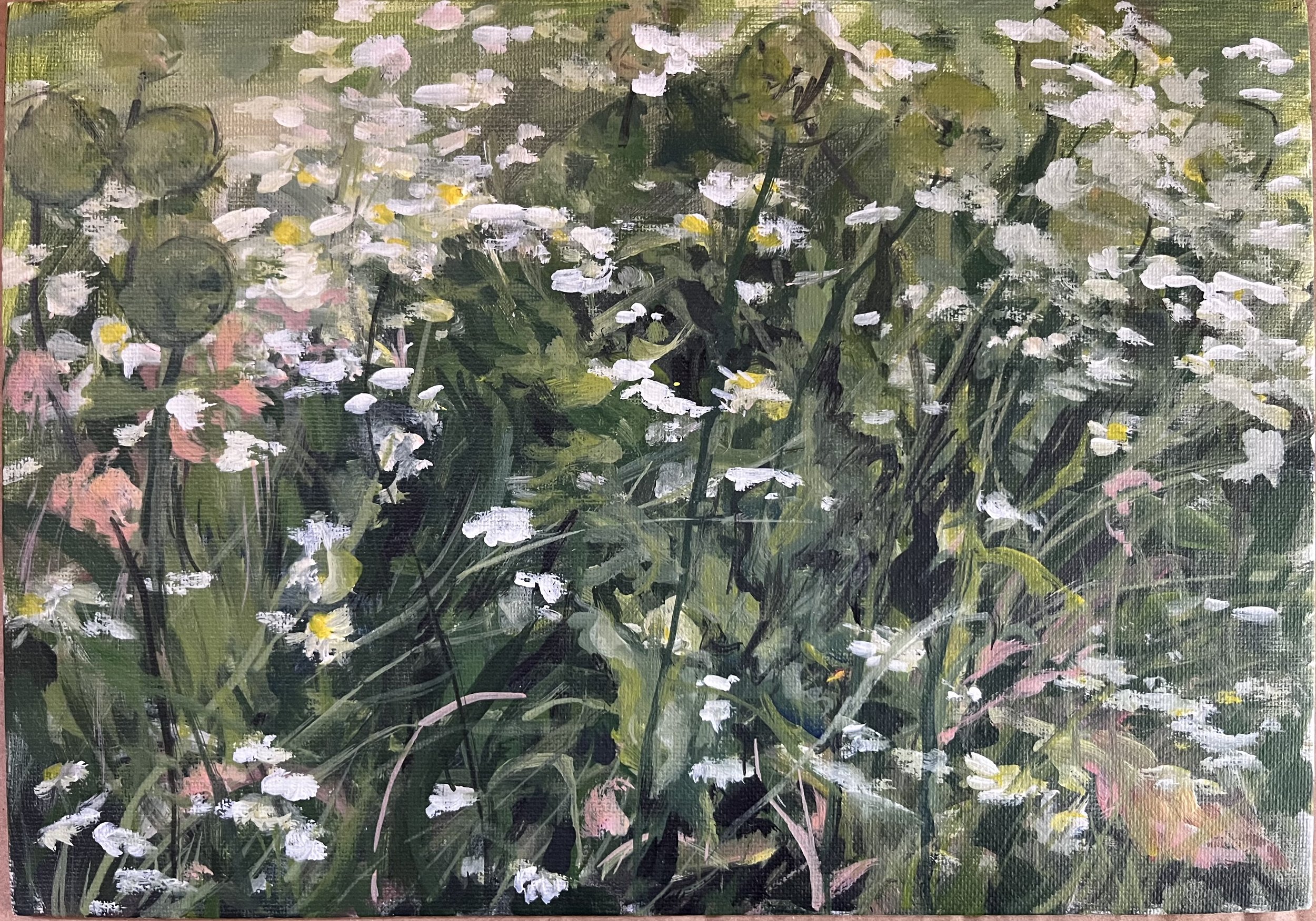 Sussex Flowerbed
acrylic on canvas board
21 cm x 30 cm