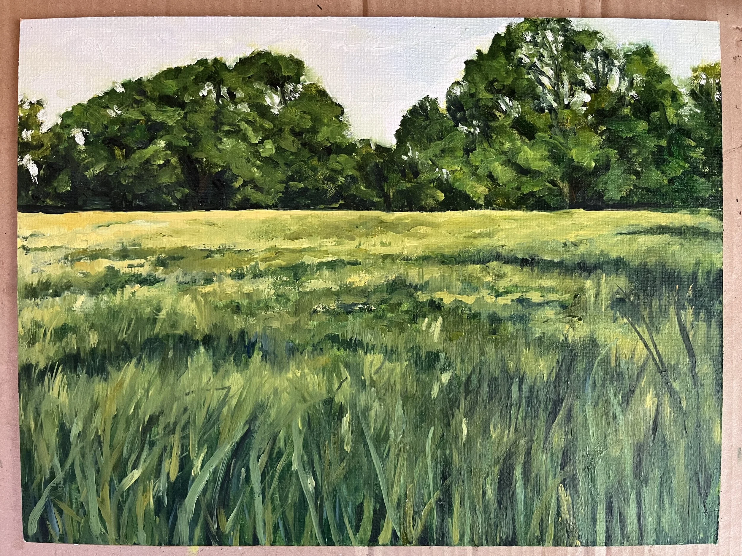 Norfolk Field 
oil on canvas board
30 cm x 40 cm