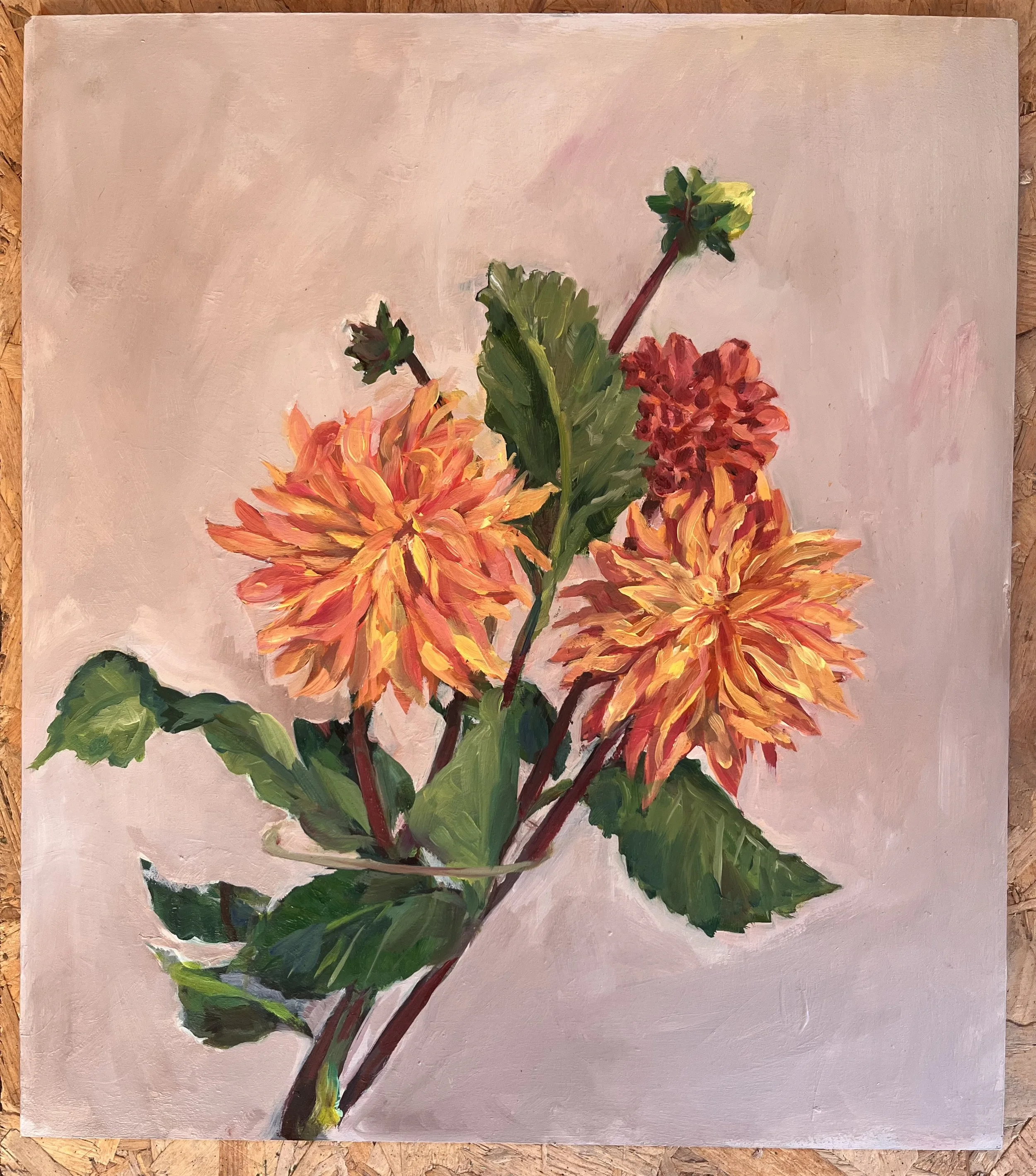 Dahlia Bunch
oil on board
40 cm x 35 cm