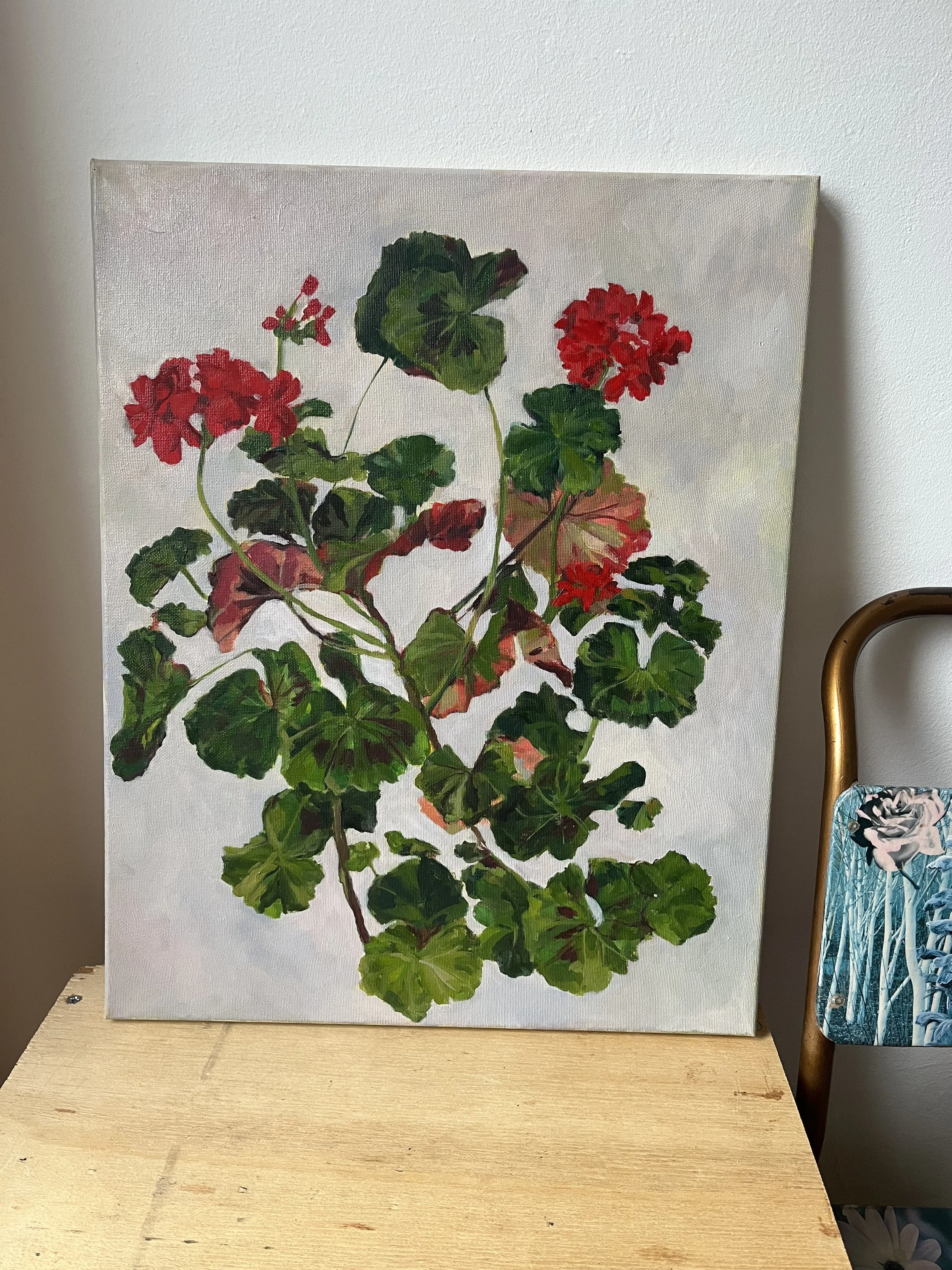Geranium
oil on canvas 50cm x 60cm 
£600