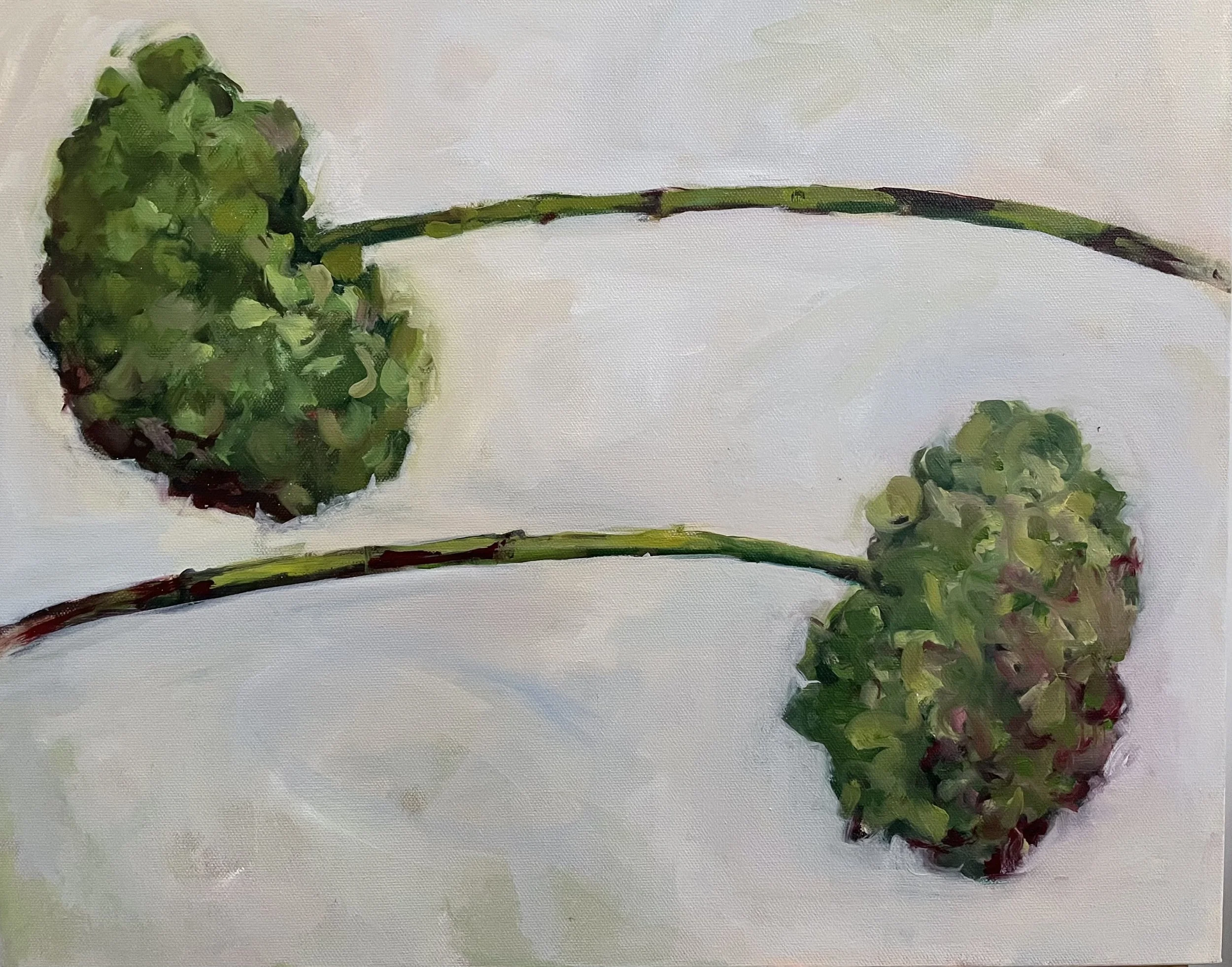 Two Hydrangea Stems
oil on canvas 41cm x 51cm
£475