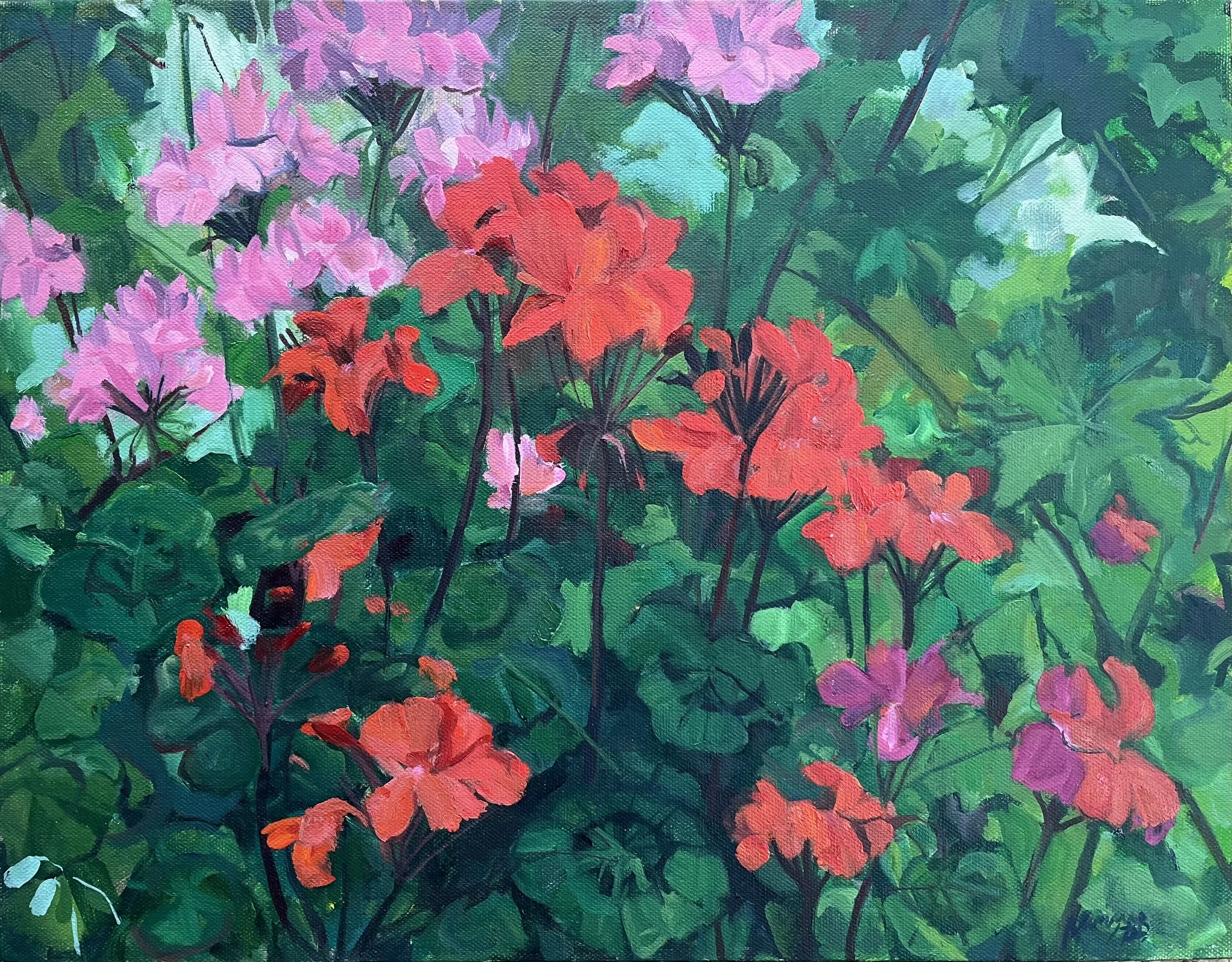 Geranium Garden
 oil on canvas 35.5cm x 46cm 
SOLD £500
