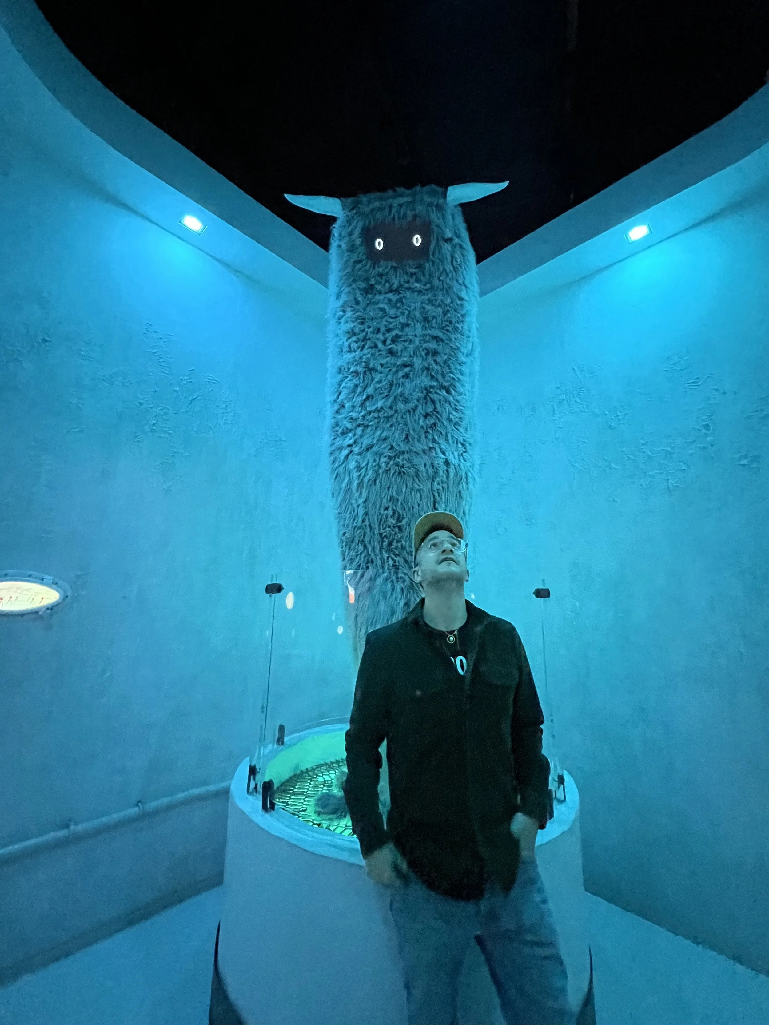 unique travel experiences and fun adventures