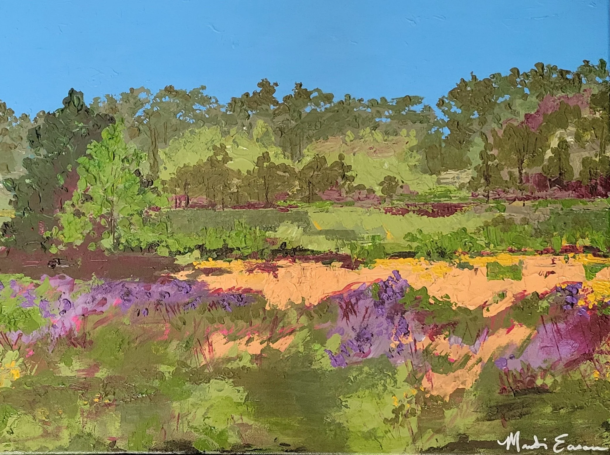 "Specialized View of a Meadow in Clover Valley Preserve"-acrylic on canvas (24" x 18" x 1")
 *Selected for Natural Wonders Annual Plein Air Exhibit at General Gomez Arts & Event Center in Auburn, CA.-Show begins 7/9/26-7/27/26. Reception: 7/23/26; 4-