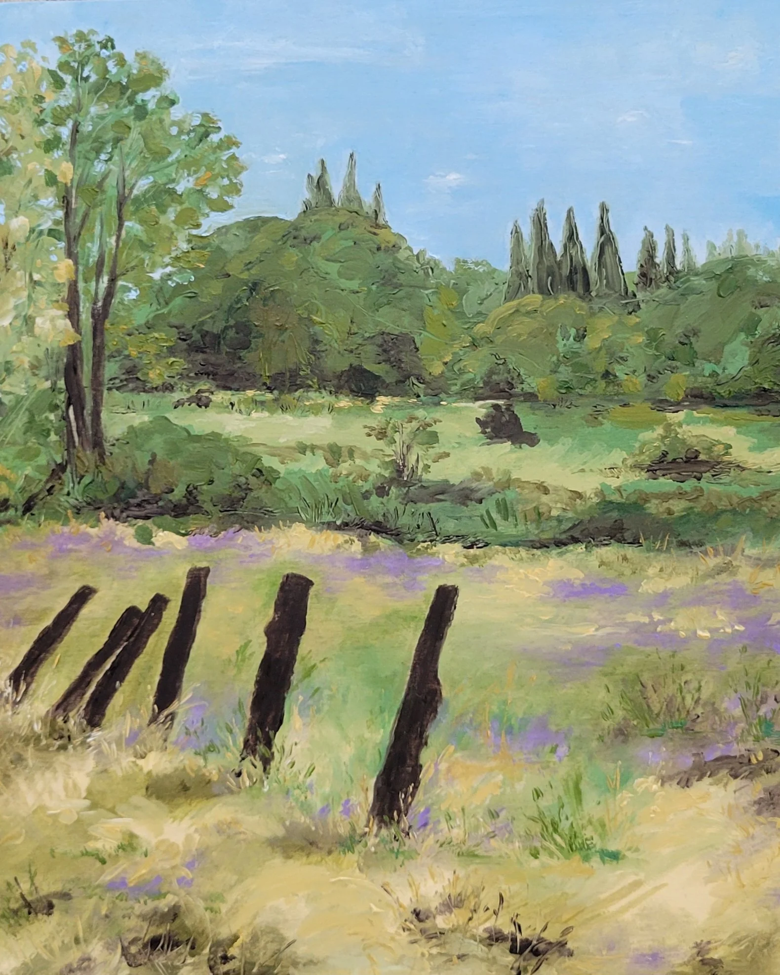 "Clover Valley Preserve Meadow View"-oil on wooden panel (8" x 10" x1")
*Selected for Natural Wonders Annual Plein Air Exhibit at General Gomez Arts & Event Center in Auburn, CA.-Show begins 7/9/26-7/27/26. Reception: 7/23/26; 4-7pm*