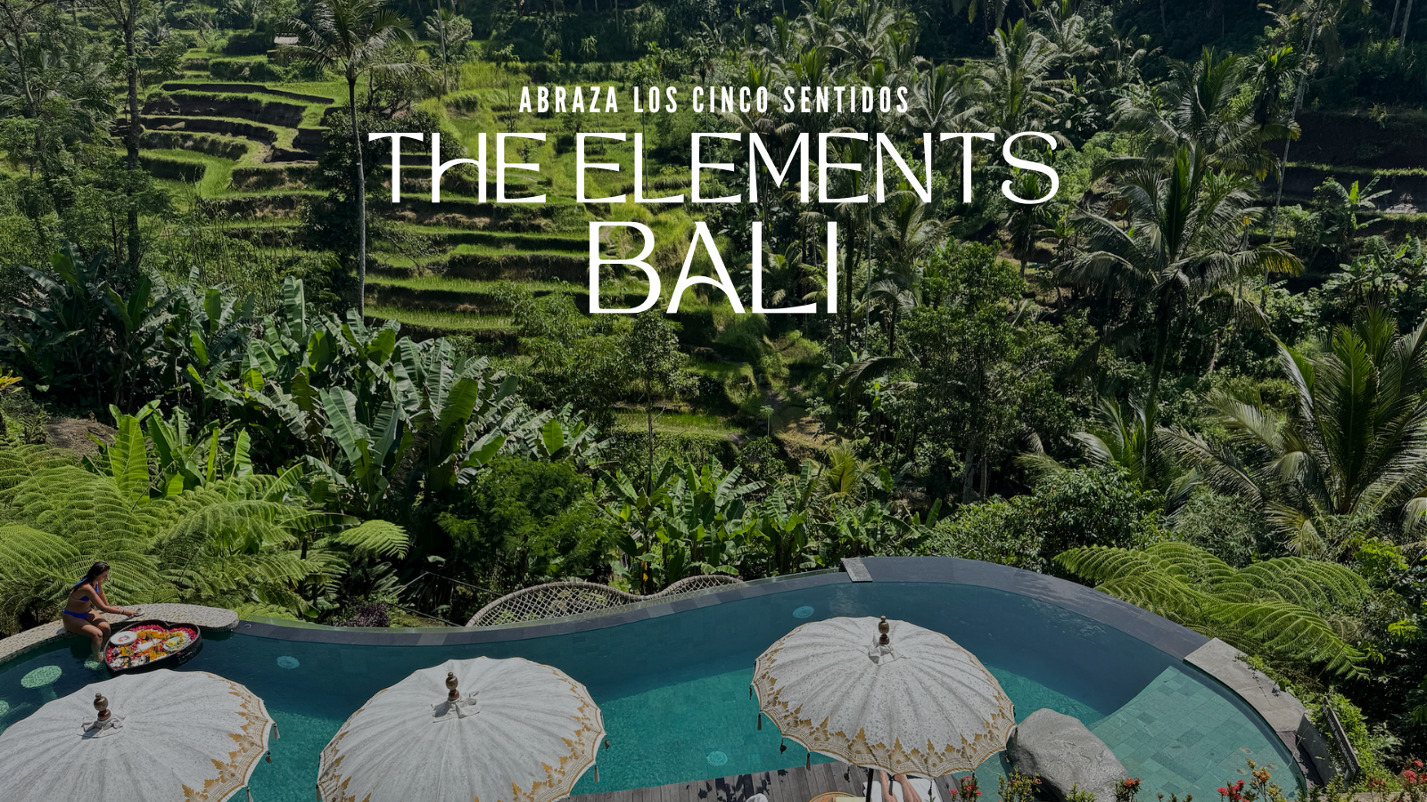 Vista de una piscina en un entorno natural con vegetación de selva y terrazas en Bali, Indonesia.