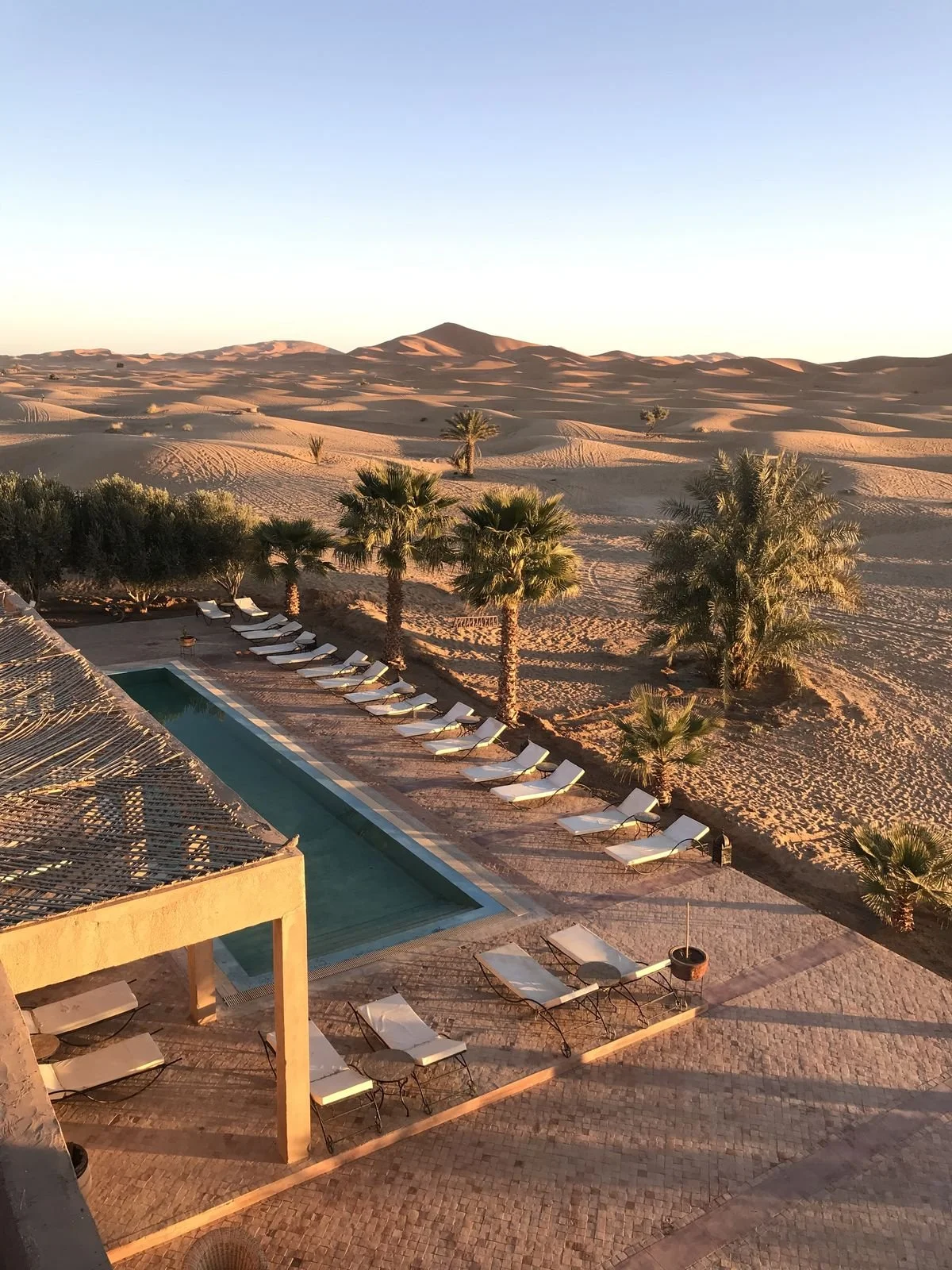 Una piscina junto a varias palmeras, con vistas a un desierto con dunas y colinas en el fondo, iluminada por la luz suave del atardecer.