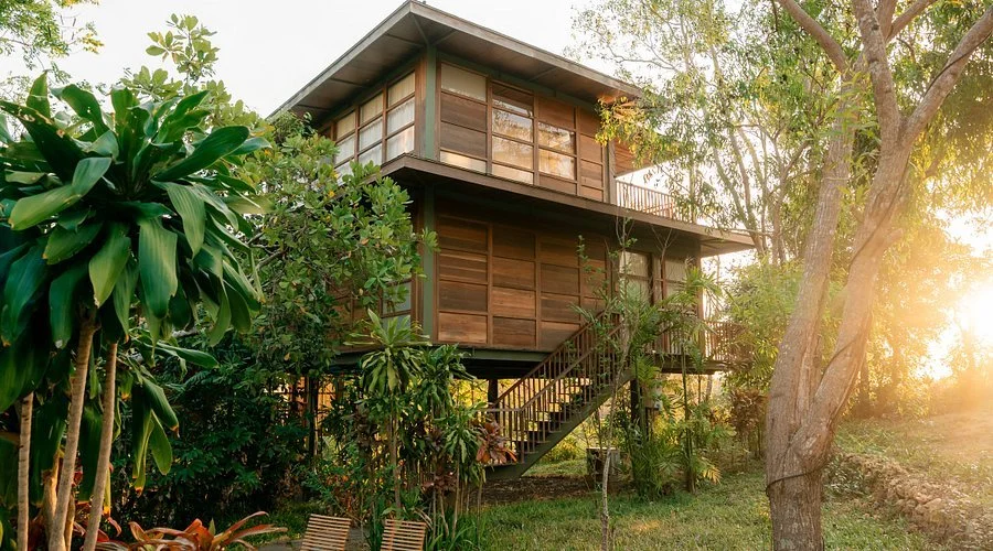 Casa de madera en medio de árboles y vegetación, con escaleras externas y vidrio en las ventanas, en un entorno natural y soleado.