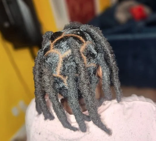 Close-up of a person's head showing styled dreadlocks.