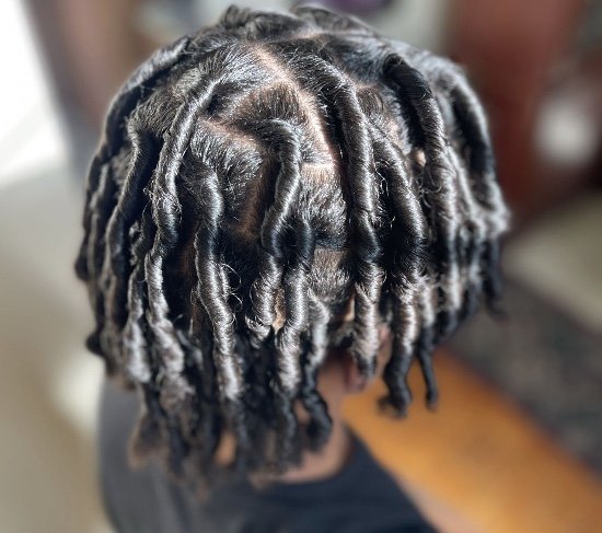 Close-up of a person's head showcasing dreadlocks styled with a parting at the top, dyed in black and gray colors.