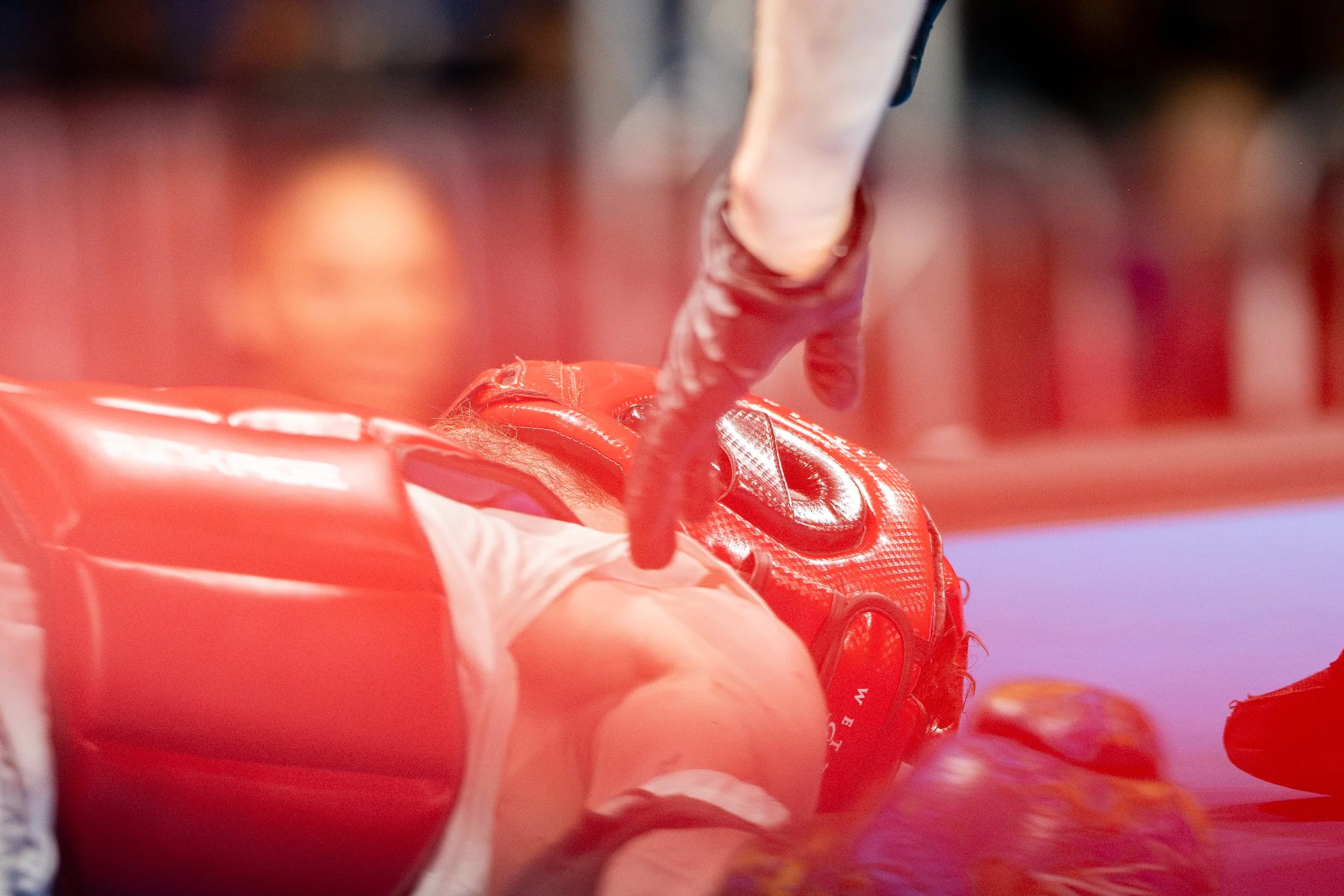DSC06632.jpg