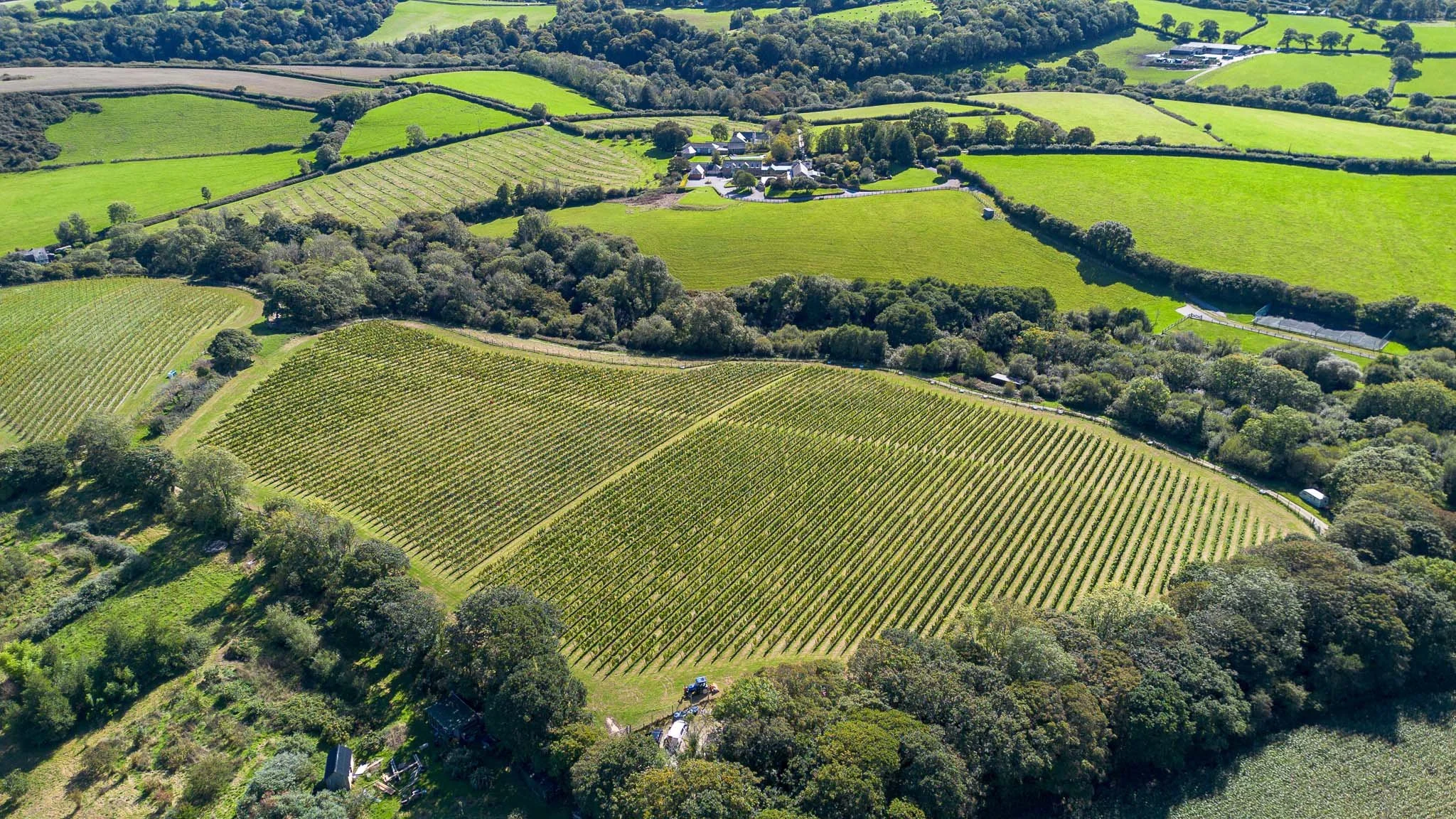 DJI_0038.jpg