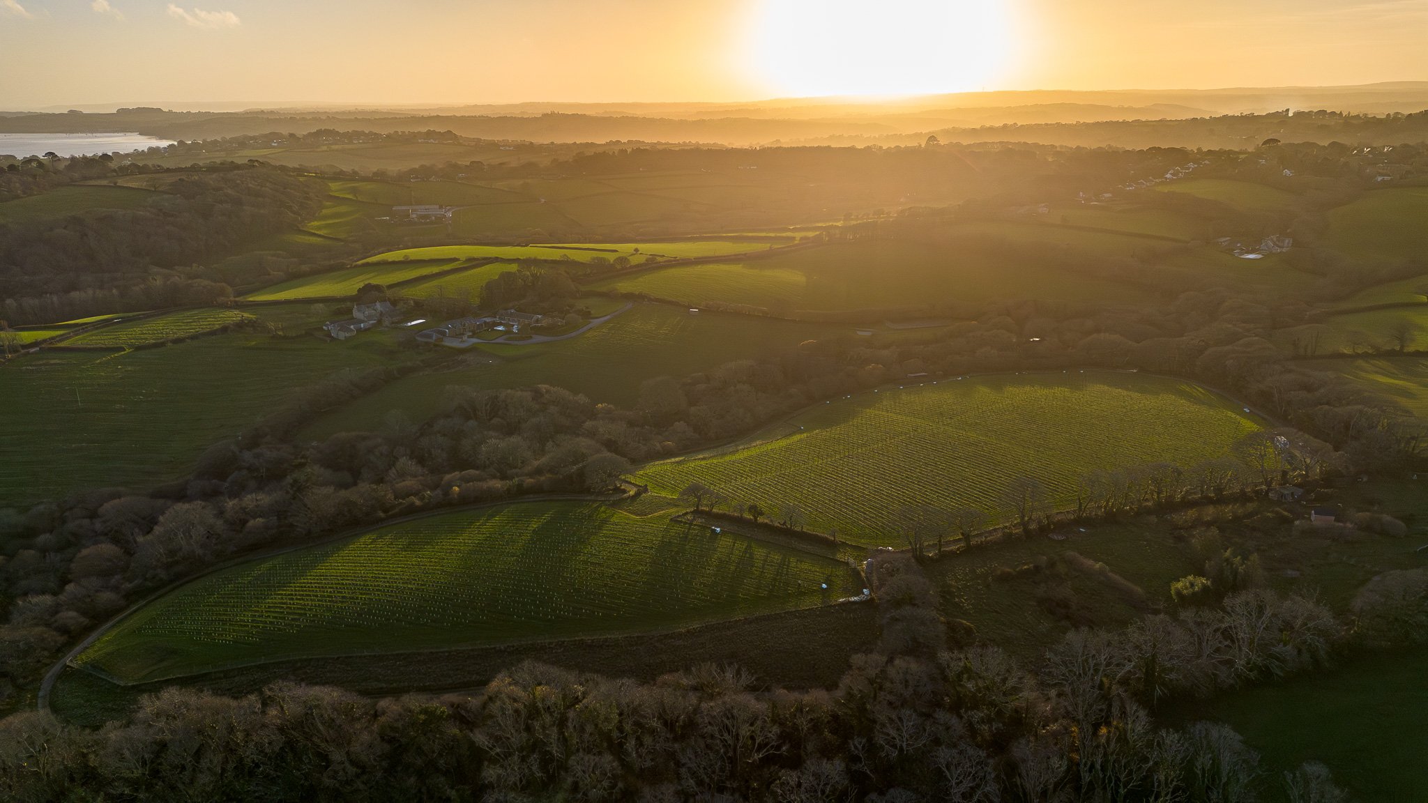 DJI_0184.jpg
