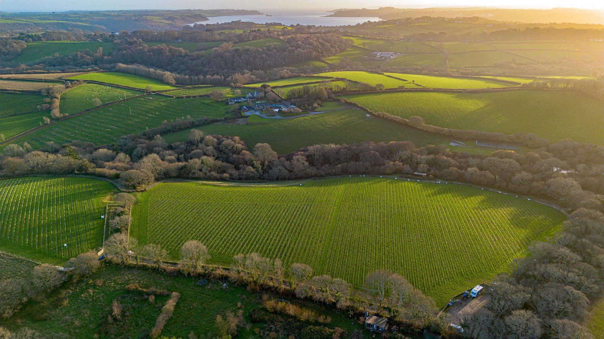 DJI_0168.jpg