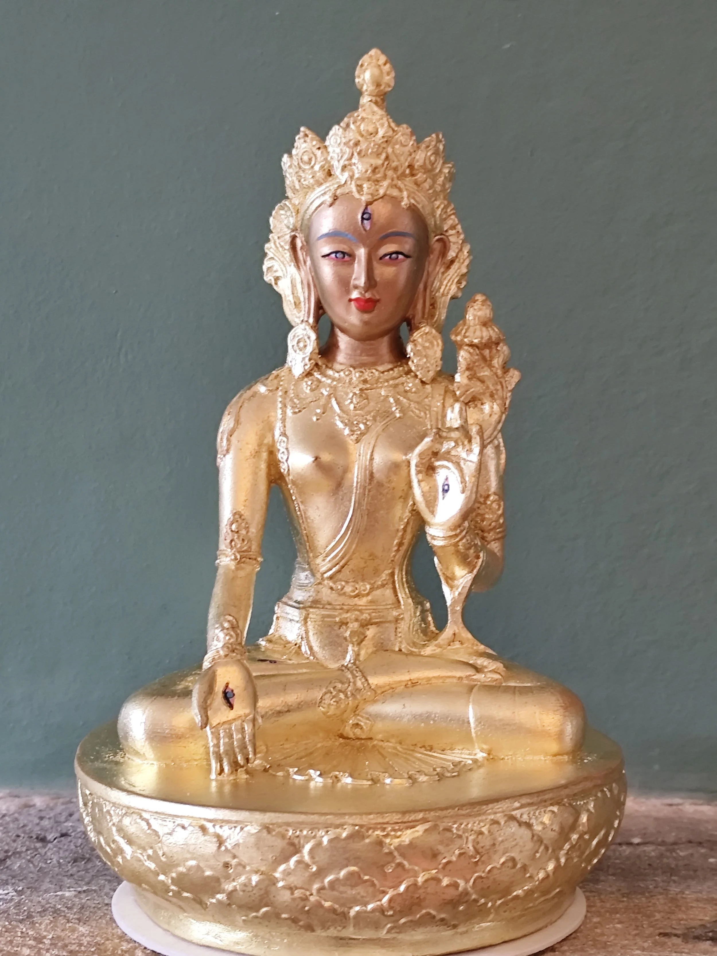 Tara blanche petit.jpg