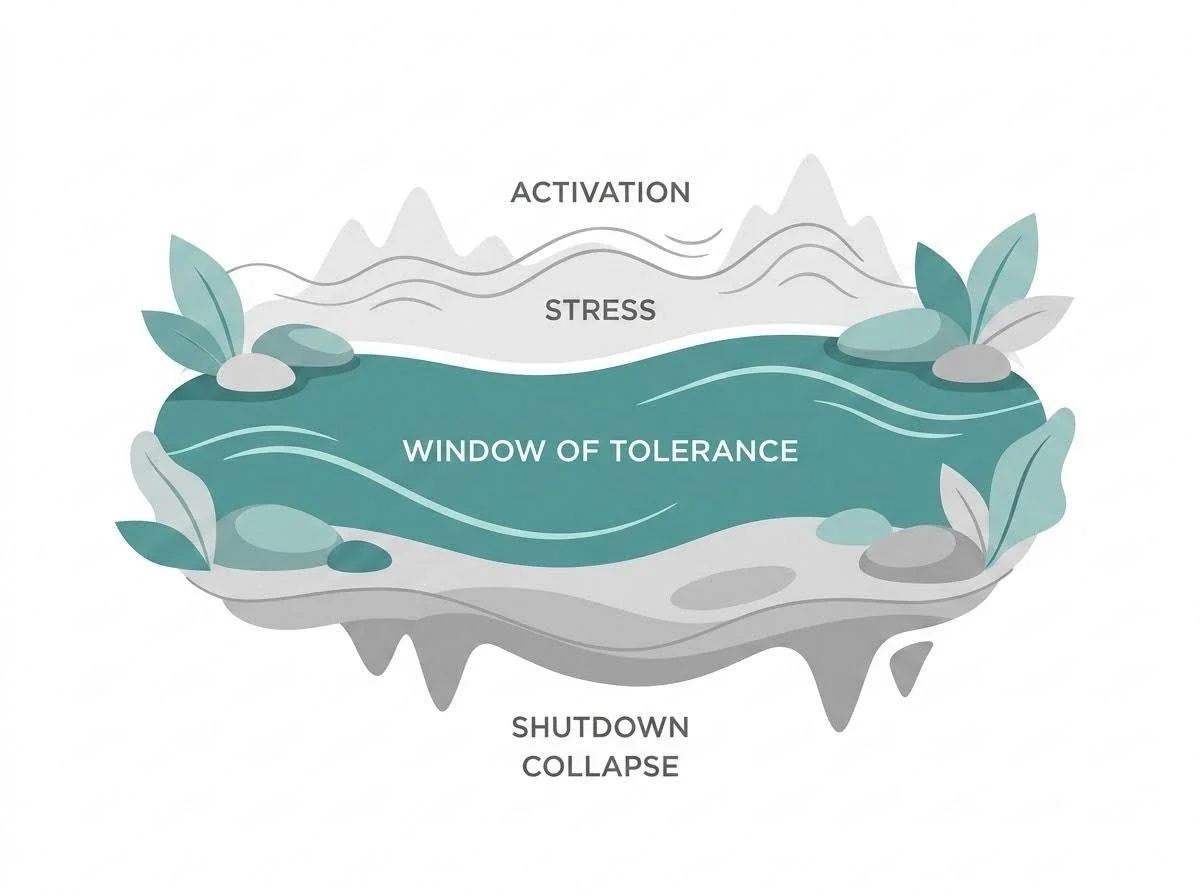 Window of Tolerance Explained