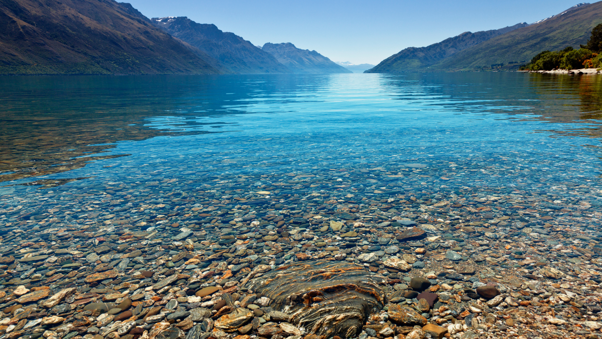 Sunny day river bed.png
