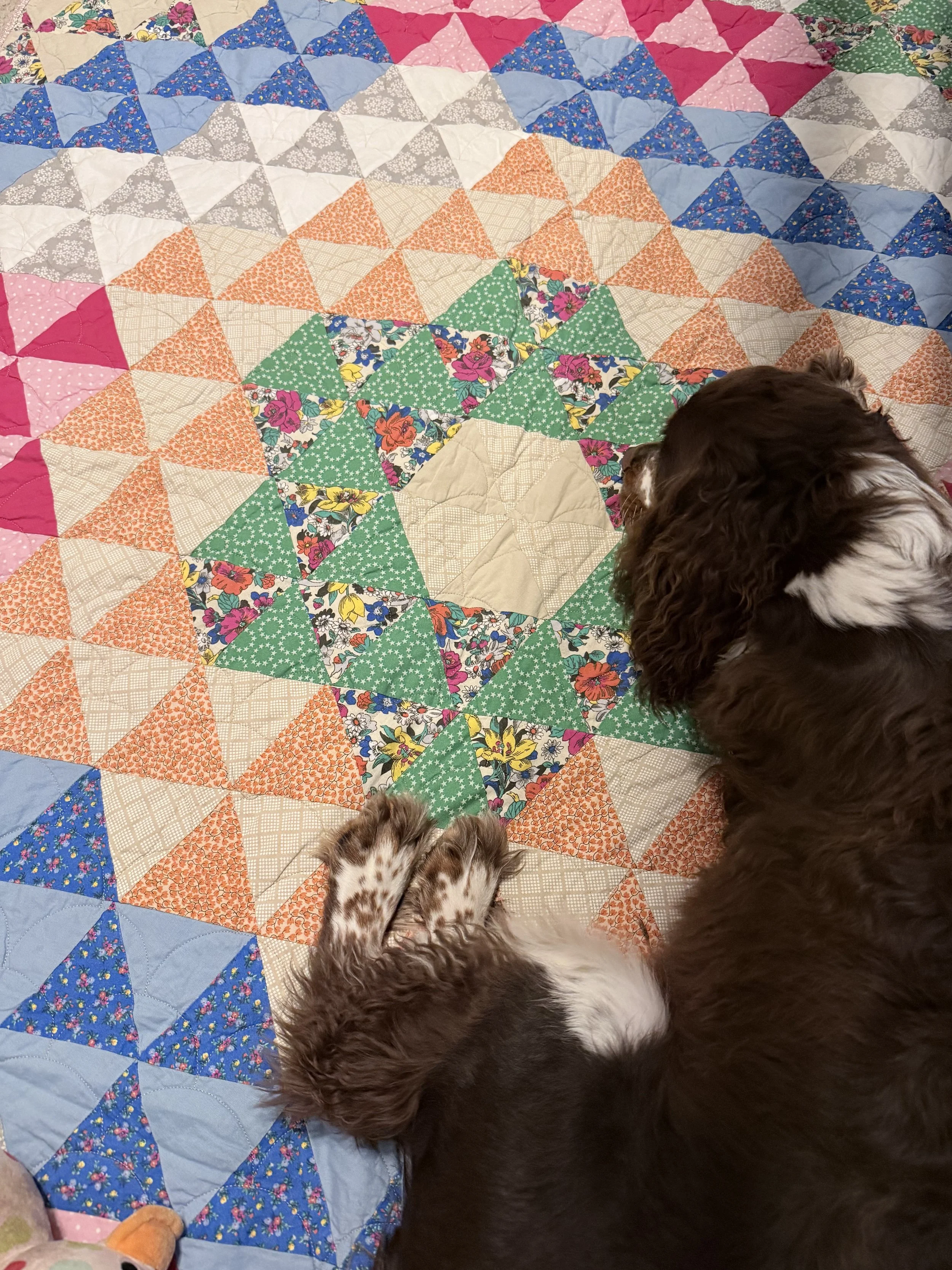 A colorful patchwork quilt with various patterns and colors, including blue, pink, orange, green, and floral designs. Two dogs are resting on the quilt, one with brown and white fur and the other a smaller dog with spotted fur and paws visible at the bottom of the image.