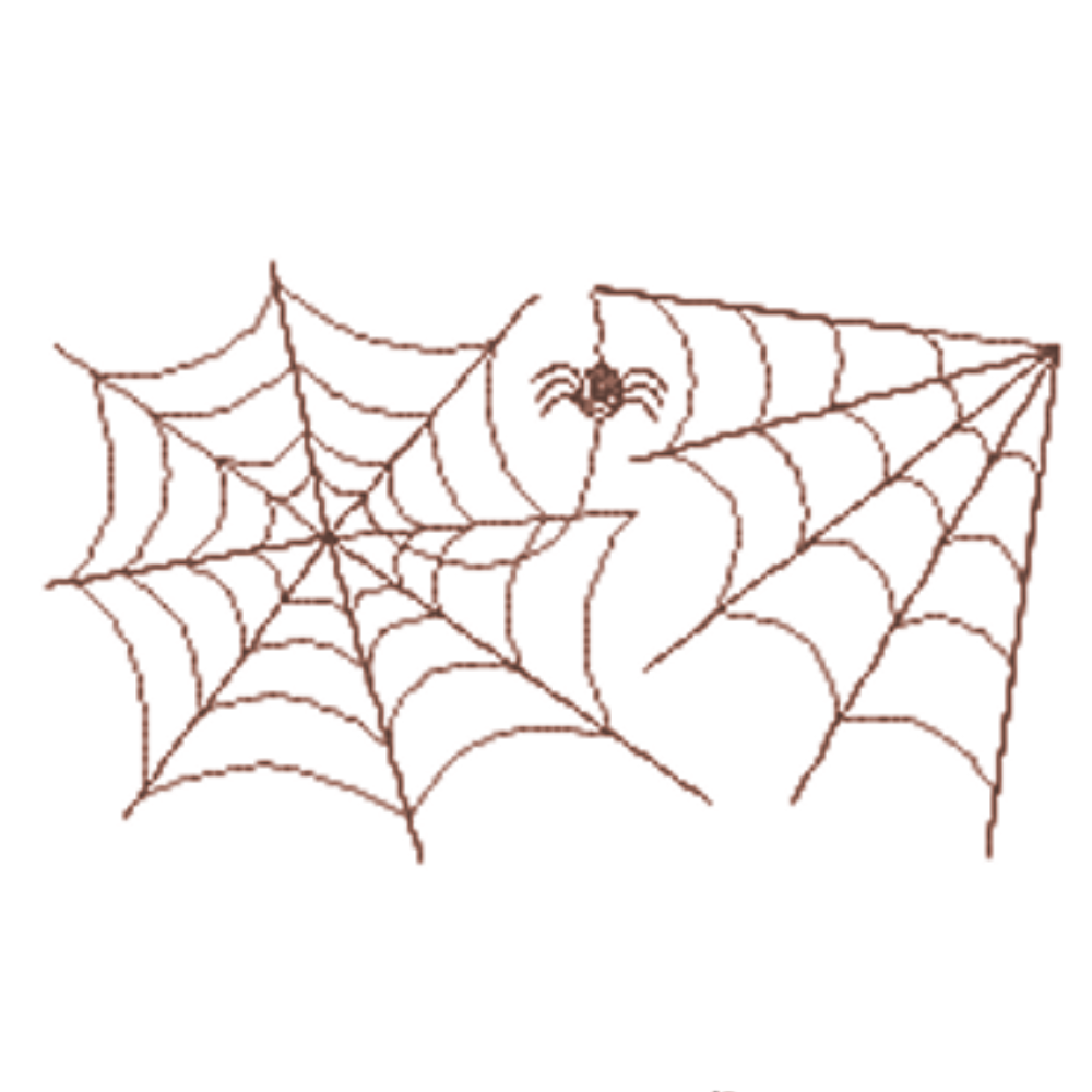 Spider Web