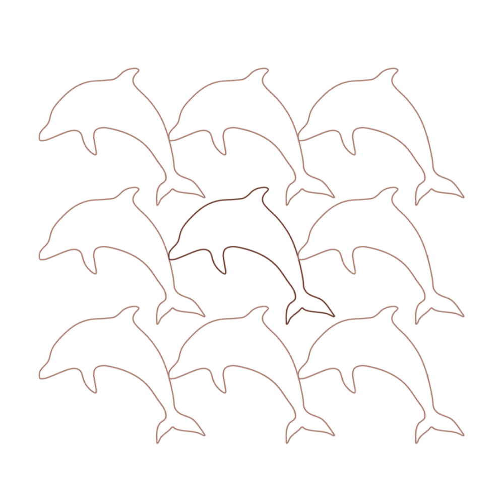 Dolphin