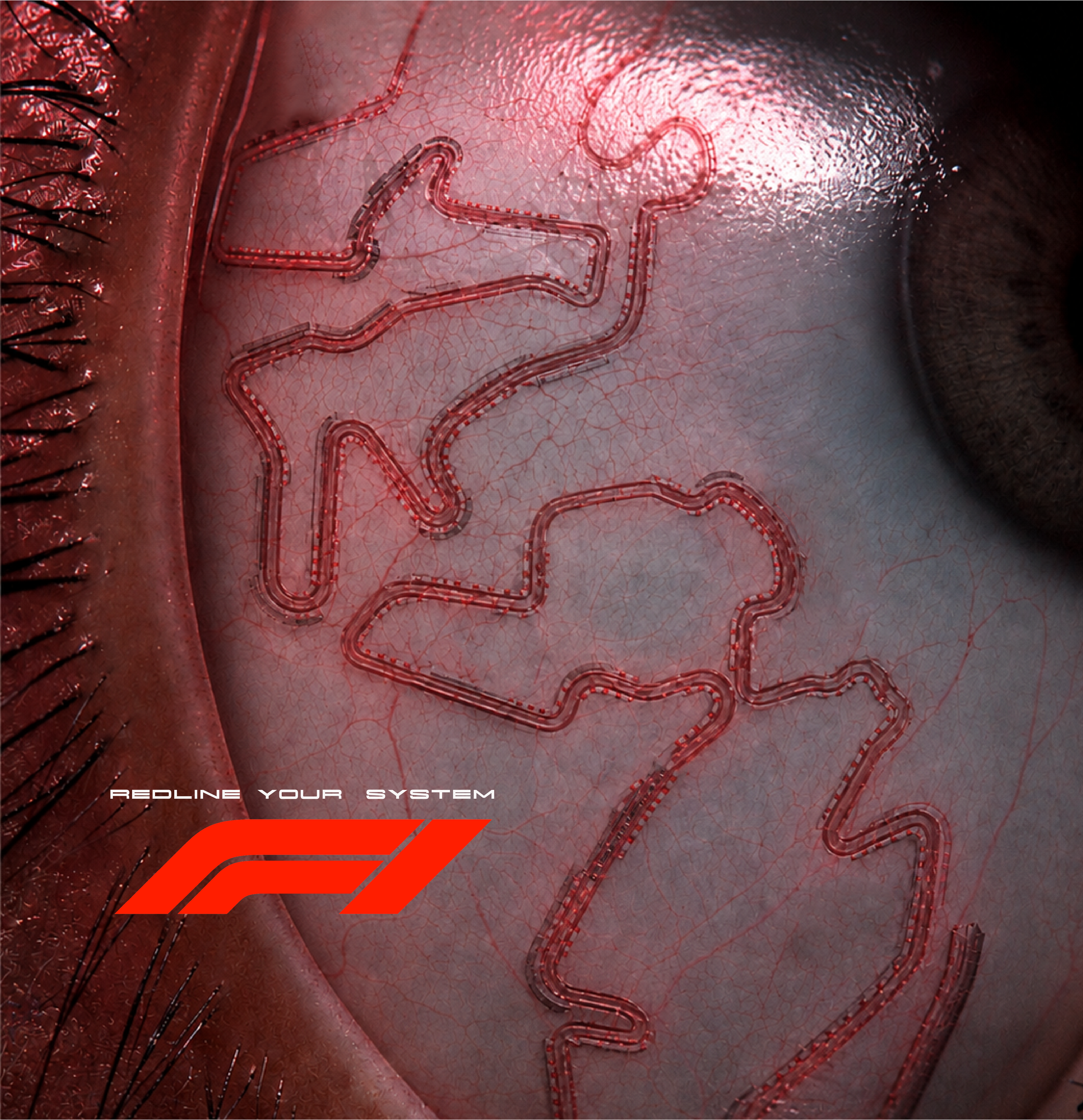 f1websiteiconoption2.png