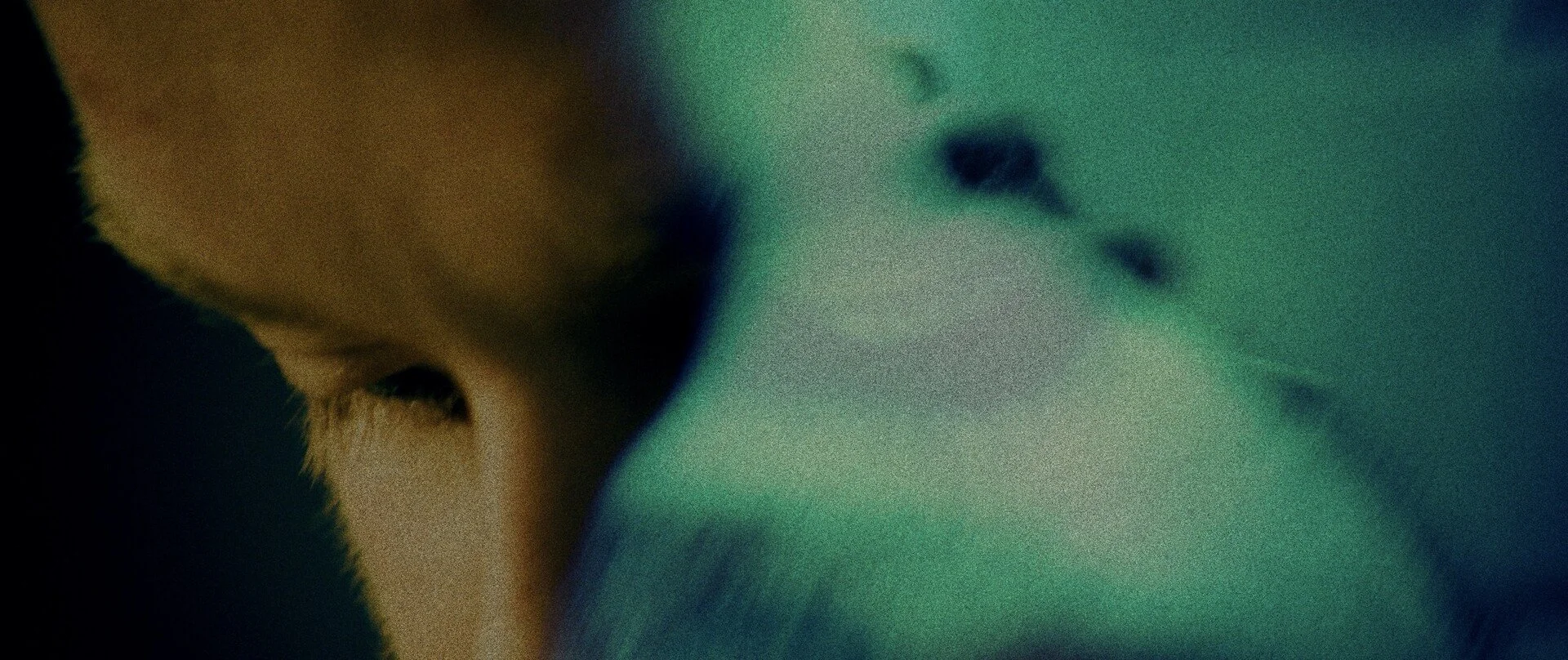 A still from the film "xX_Nomad_Xx." Close-up of a person's face with greenish-blue lighting, focusing on the nose and eye area.