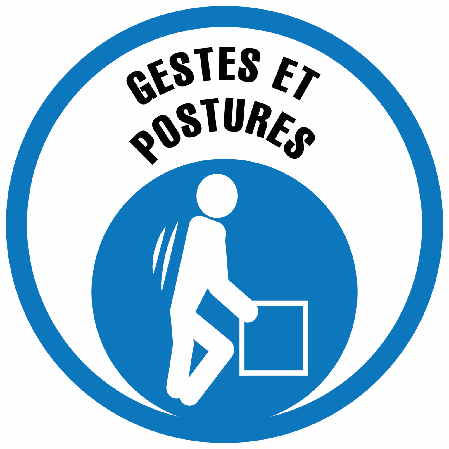 Gestes et Postures Manutention Manuelle 7h  Intra Inter (Rhône-Alpes)