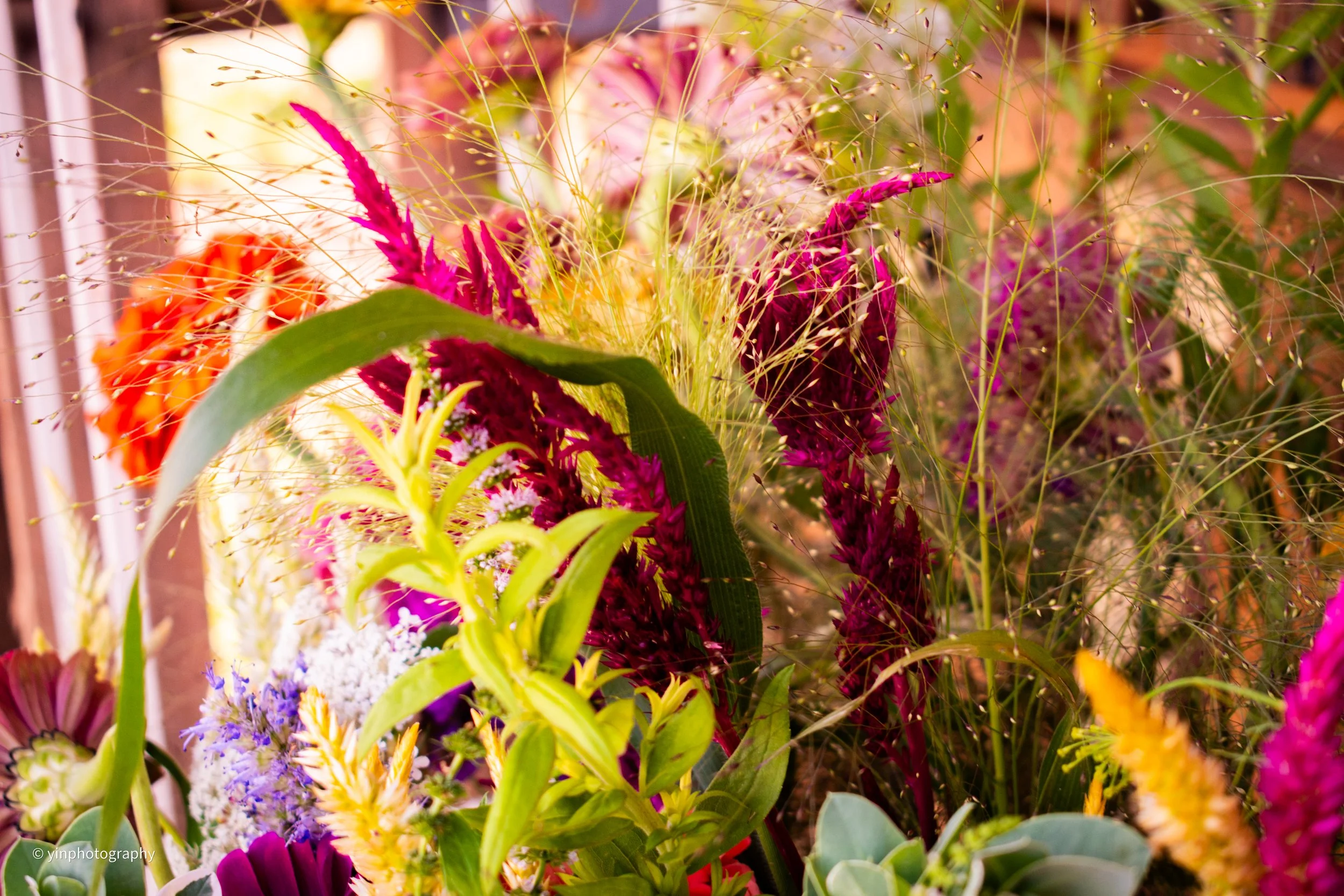 Close up on a bright summery flower bouquet.