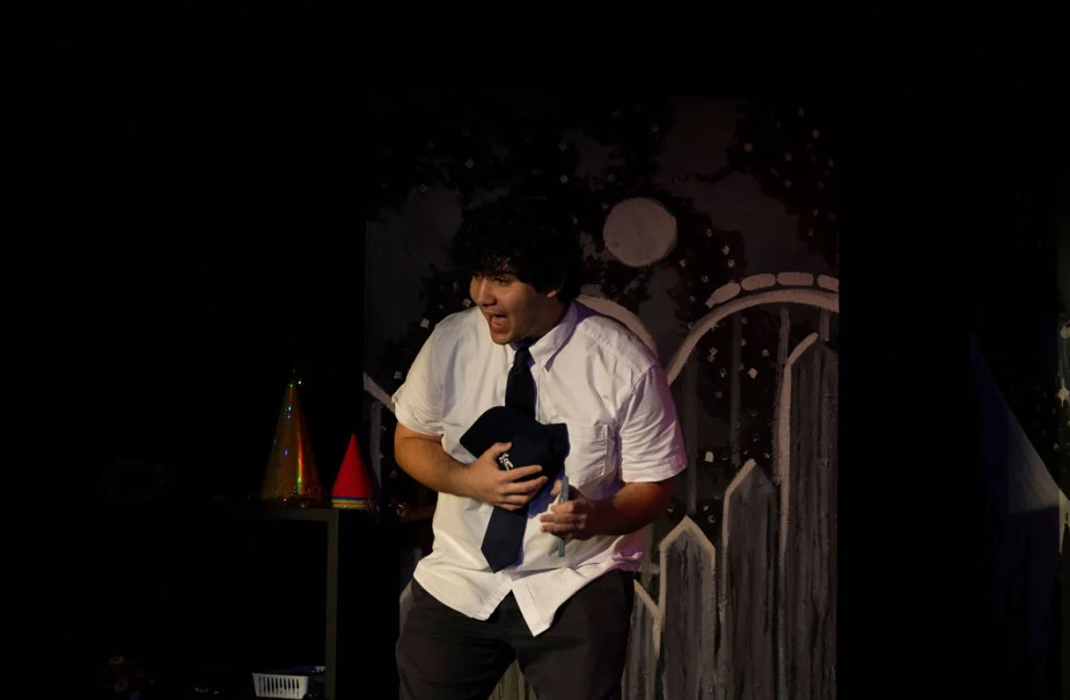 Actor singing on stage while clutching a baseball hat