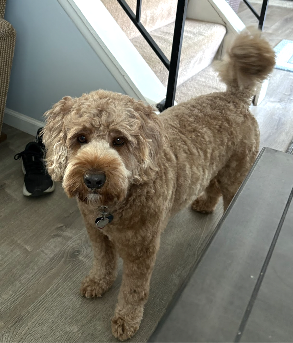 Screenshot 2026-02-18 at 9.10.53 PM.png