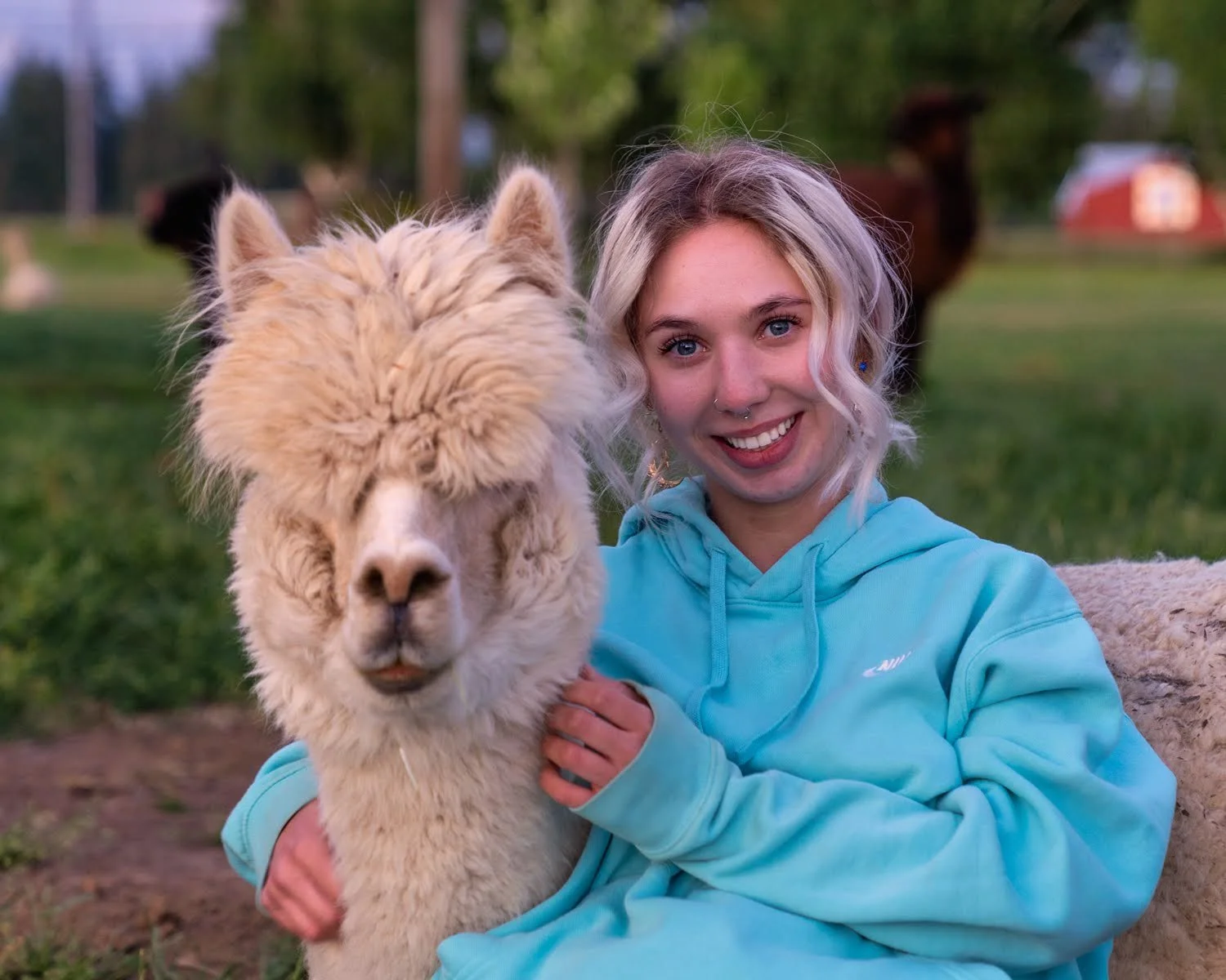 008_Alpaca by Design_Alpaca Products_Alpaca Picnics_Peru_Andes_Bend Oregon_Alpaca Experiences_.jpg