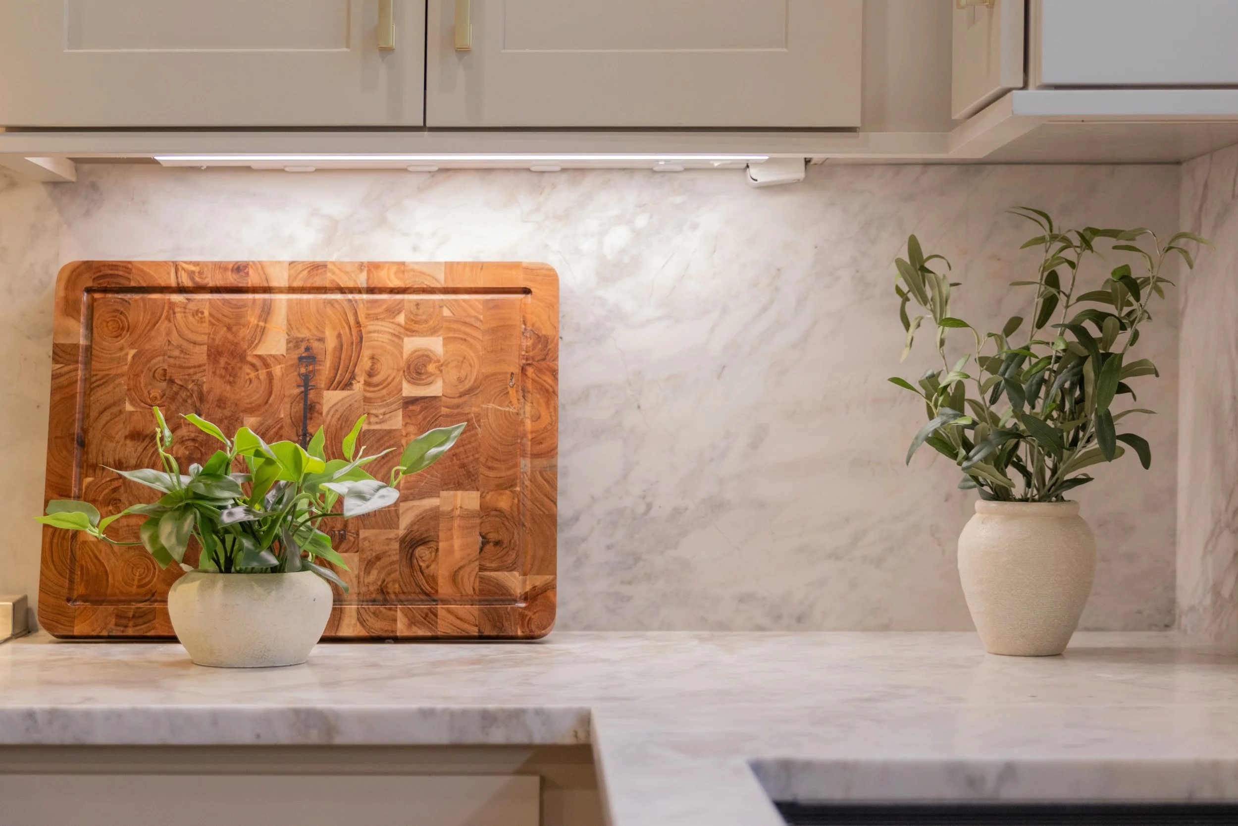 compressedImage (1).jpeg