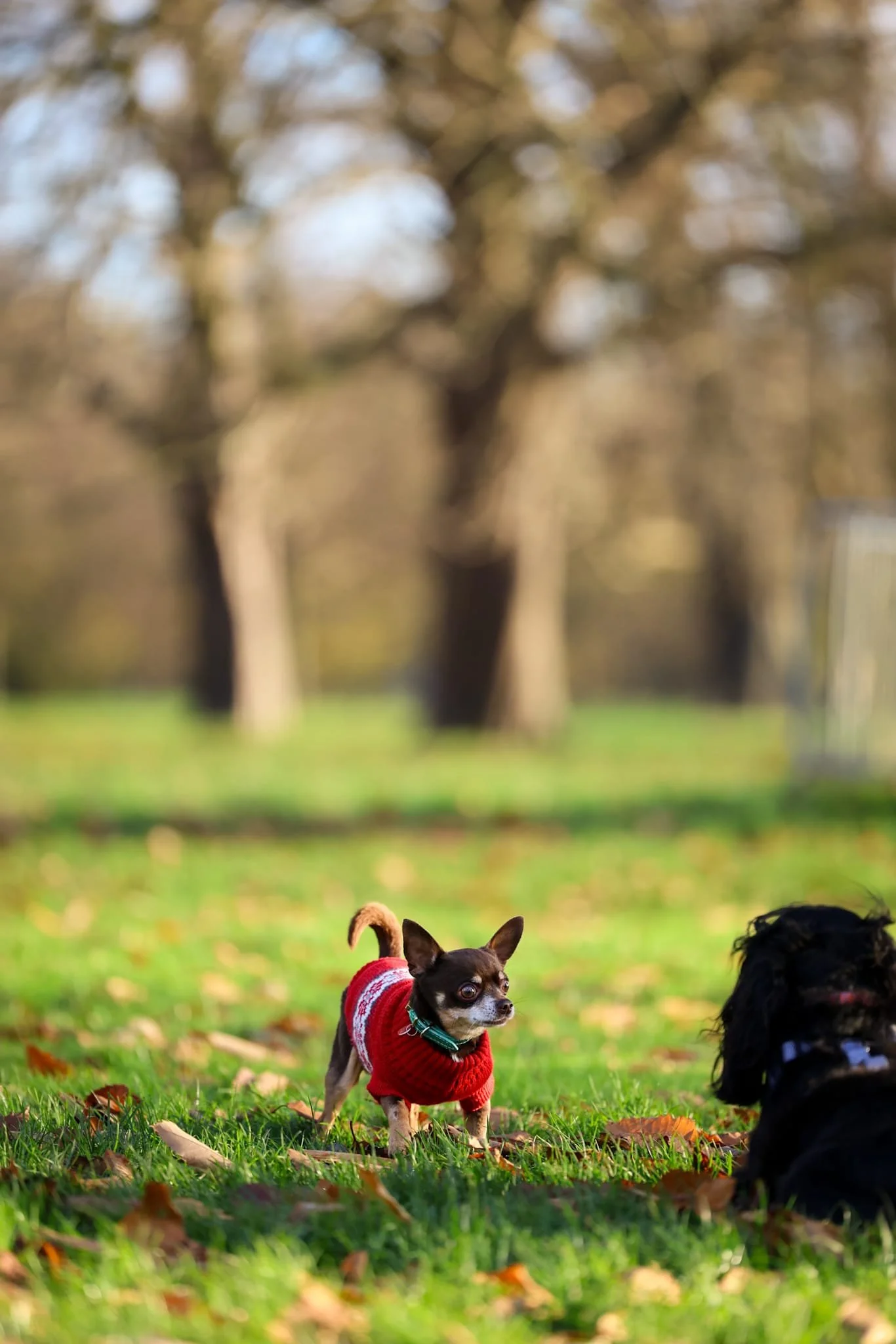 One-off session (club members only)