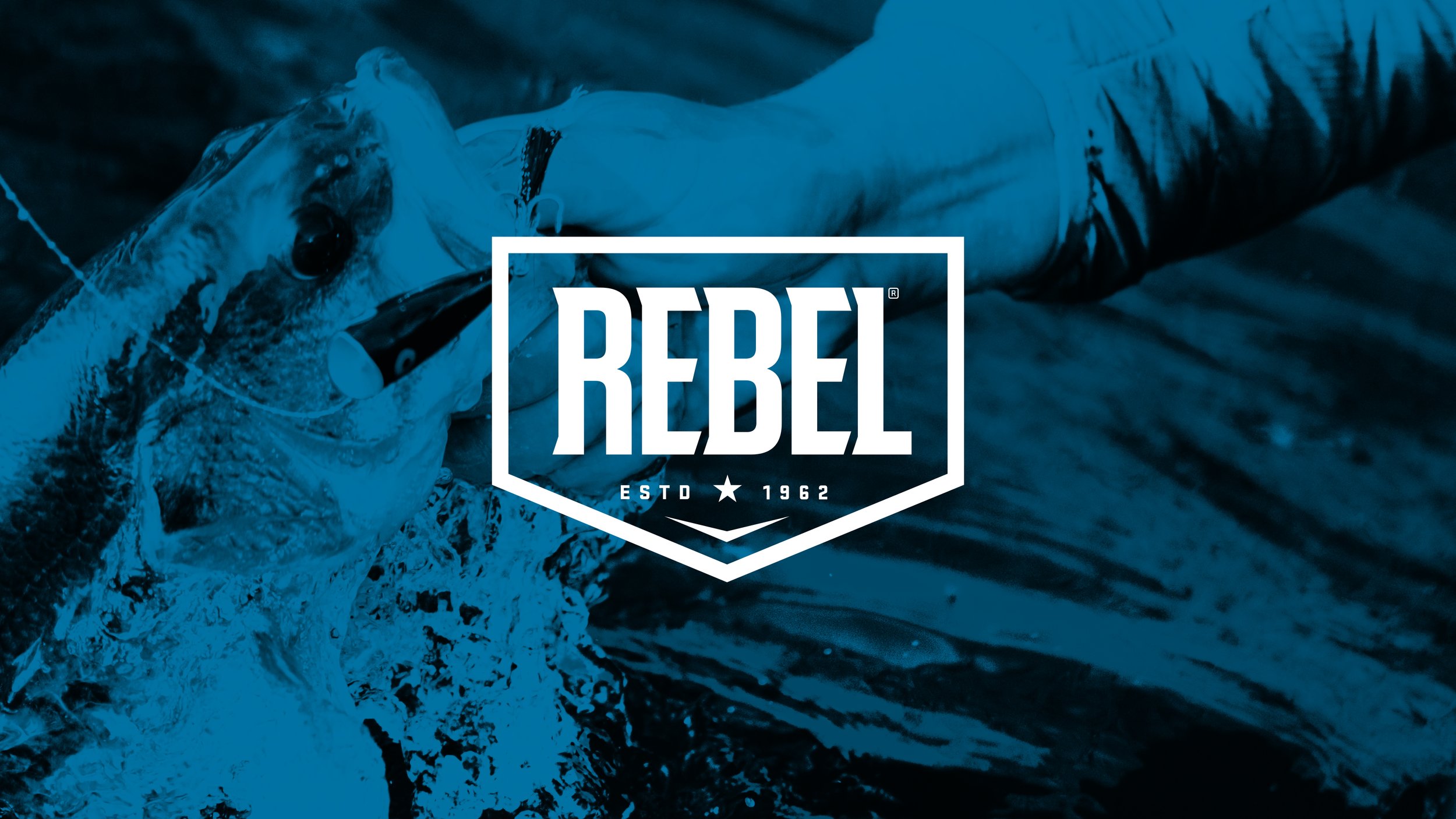 Rebel_CaseStudy_Presentation_v1.jpg