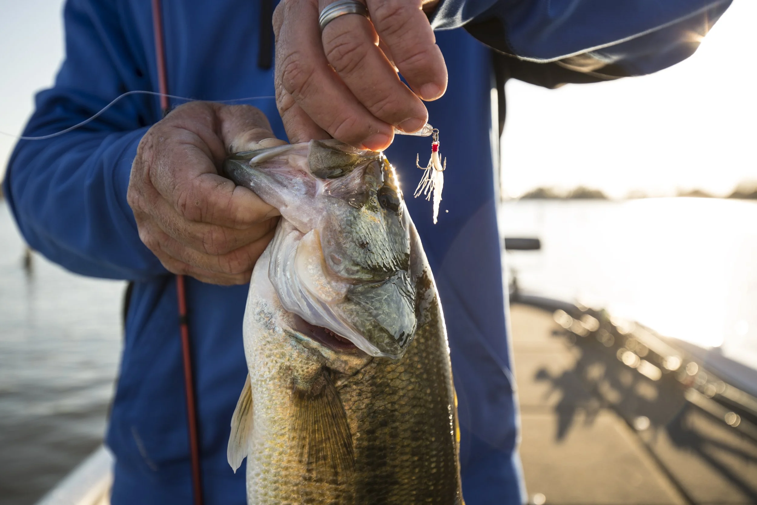 Rebel_ToledoBend_Day 2_1673.jpg