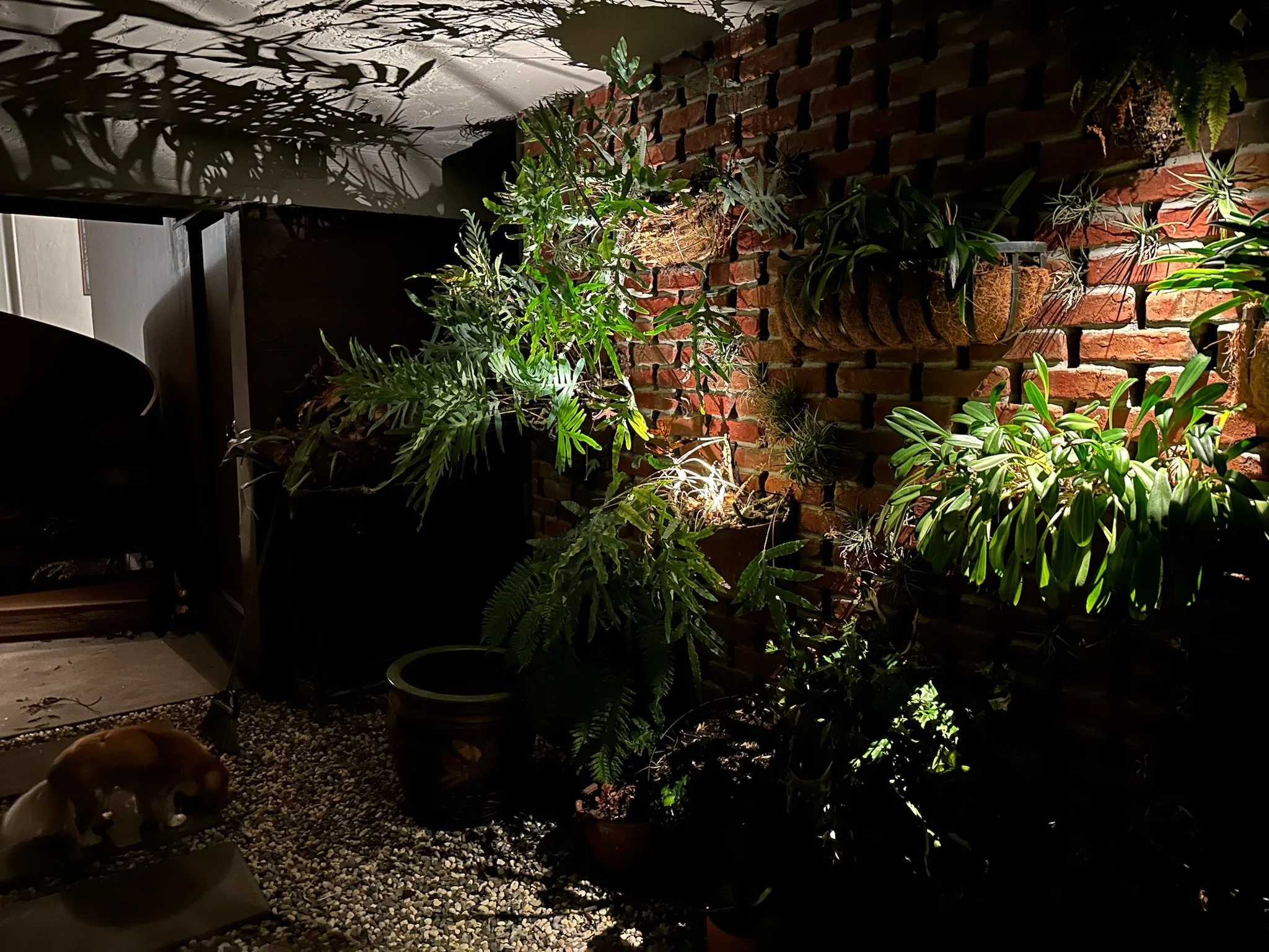 living green plant wall in back garden