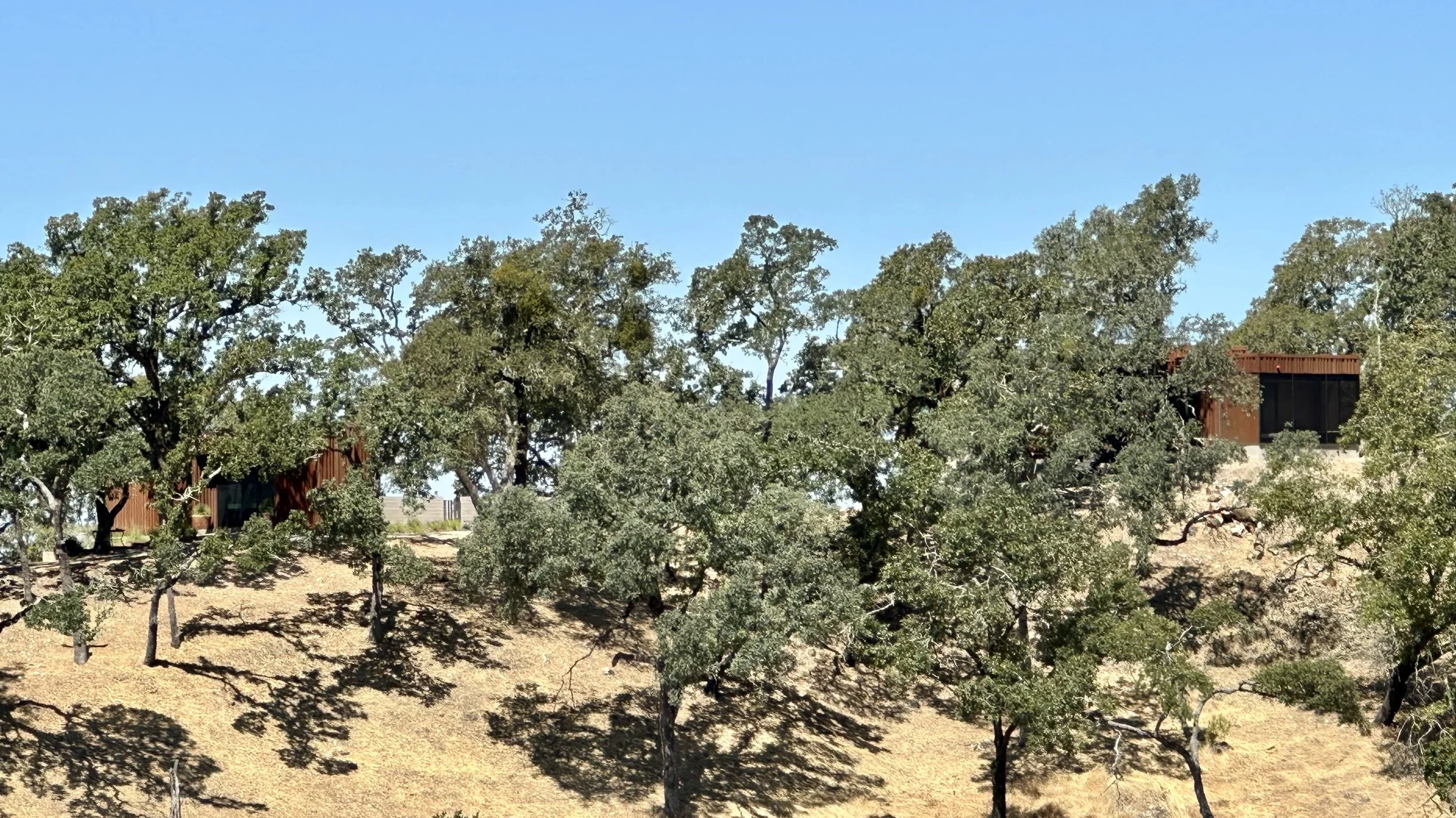 distant view of home and site